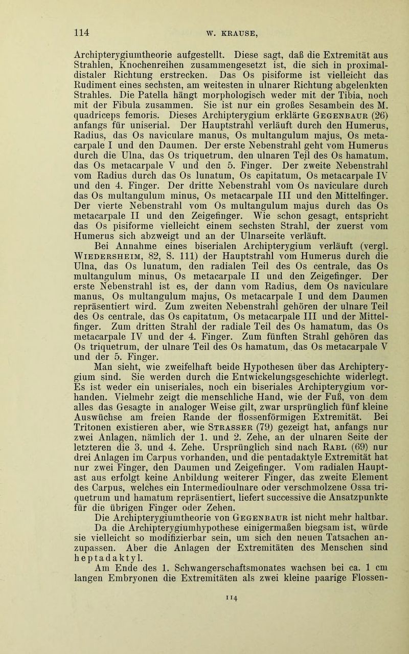 Archipterygiumtheorie aufgestellt. Diese sagt, daß die Extremität aus Strahlen, Knochenreihen zusammengesetzt ist, die sich in proximal- distaler Richtung erstrecken. Das Os pisiforme ist vielleicht das Rudiment eines sechsten, am weitesten in ulnarer Richtung abgelenkten Strahles. Die Patella hängt morphologisch weder mit der Tibia, noch mit der Fibula zusammen. Sie ist nur ein großes Sesambein des M. quadriceps femoris. Dieses Archipterygium erklärte Gegenbaur (26) anfangs für uniserial. Der Hauptstrahl verläuft durch den Humerus, Radius, das Os naviculare manus, Os multangulum majus, Os meta- carpale I und den Daumen. Der erste Nebenstrahl geht vom Humerus durch die Ulna, das Os triquetrum. den ulnaren Teil des Os hamatum, das Os metacarpale V und den 5. Finger. Der zweite Nebenstrahl vom Radius durch das Os lunatum, Os capitatum, Os metacarpale IV und den 4. Finger. Der dritte Nebenstrahl vom Os naviculare durch das Os multangulum minus, Os metacarpale III und den Mittelfinger. Der vierte Nebenstrahl vom Os multangulum majus durch das Os metacarpale II und den Zeigefinger. Wie schon gesagt, entspricht das Os pisiforme vielleicht einem sechsten Strahl, der zuerst vom Humerus sich abzweigt und an der Ulnarseite verläuft. Bei Annahme eines biserialen Archipterygium verläuft (vergl. Wiedersheim, 82, S. 111) der Hauptstrahl vom Humerus durch die Ulna, das Os lunatum, den radialen Teil des Os centrale, das Os multangulum minus, Os metacarpale II und den Zeigefinger. Der erste Nebenstrahl ist es, der dann vom Radius, dem Os naviculare manus, Os multangulum majus, Os metacarpale I und dem Daumen repräsentiert wird. Zum zweiten Nebenstrahl gehören der ulnare Teil des Os centrale, das Os capitatum, Os metacarpale III und der Mittel- finger. Zum dritten Strahl der radiale Teil des Os hamatum, das Os metacarpale IV und der 4. Finger. Zum fünften Strahl gehören das Os triquetrum, der ulnare Teil des Os hamatum, das Os metacarpale V und der 5. Finger. Man sieht, wie zweifelhaft beide Hypothesen über das Archiptery- gium sind. Sie werden durch die Entwickelungsgeschichte widerlegt. Es ist weder ein uniseriales, noch ein biseriales Archipterygium vor- handen. Vielmehr zeigt die menschliche Hand, wie der Fuß, von dem alles das Gesagte in analoger Weise gilt, zwar ursprünglich fünf kleine Auswüchse am freien Rande der flossenförmigen Extremität. Bei Tritonen existieren aber, wie Strasser (79) gezeigt hat, anfangs nur zwei Anlagen, nämlich der 1. und 2. Zehe, an der ulnaren Seite der letzteren die 3. und 4. Zehe. Ursprünglich sind nach Rabl (69) nur drei Anlagen im Carpus vorhanden, und die pentadaktyle Extremität hat nur zwei Finger, den Daumen und Zeigefinger. Vom radialen Haupt- ast aus erfolgt keine Anbildung weiterer Finger, das zweite Element des Carpus, welches ein Intermedioulnare oder verschmolzene Ossa tri- quetrum und hamatum repräsentiert, liefert successive die Ansatzpunkte für die übrigen Finger oder Zehen. Die Archipterygiumtheorie von Gegenbaur ist nicht mehr haltbar. Da die Archipterygiumhypothese einigermaßen biegsam ist, würde sie vielleicht so modifizierbar sein, um sich den neuen Tatsachen an- zupassen. Aber die Anlagen der Extremitäten des Menschen sind heptadaktyl. Am Ende des 1. Schwangerschaftsmonates wachsen bei ca. 1 cm langen Embryonen die Extremitäten als zwei kleine paarige Flossen-