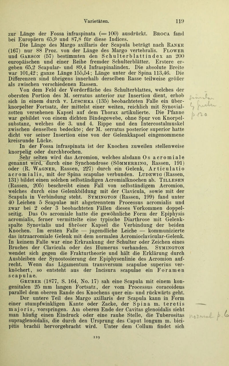 zur Länge der Fossa infraspinata (= 100) ausdrückt. Broca fand bei Europäern 65,9 und 87,8 für diese Indices. Die Länge des Margo axillaris der Scapula beträgt nach Ranke (167) nur 88 Proz. von der Länge des Margo vertebralis. Flower und Garson (57) bestimmten den Schulterblattindex an 200 europäischen und einer Reihe fremder Schulterblätter. Erstere er- geben 65,2 Scapular- und 89,4 Infraspinalindex. Die absolute Breite war 101,42; ganze Länge 155,54; Länge unter der Spina 113,46. Die Differenzen sind übrigens innerhalb derselben Rasse teilweise größer als zwischen verschiedenen Rassen. Von dem Feld der Vorderfläche des Schulterblattes, welches der obersten Portion des M. serratus anterior zur Insertion dient, erhob sich in einem durch v. Luschka (135) beobachteten Falle ein über- knorpelter Fortsatz, der mittelst einer weiten, reichlich mit Synovial- zotten versehenen Kapsel auf dem Thorax artikulierte. Die Pfanne war gebildet von einem dichten Bindegewebe, ohne Spur von Knorpel- substanz, welches die 3. und 4. Rippe und den Intercostalmuskel zwischen denselben bedeckte; der M. serratus posterior superior hatte dicht vor seiner Insertion eine von der Gelenkkapsel eingenommene kreisrunde Lücke. In der Fossa infraspinata ist der Knochen zuweilen stellenweise knorpelig oder durchbrochen. Sehr selten wird das Acromion, welches alsdann 0 s acromiale genannt wird, durch eine Synchondrose (Sömmerring, Rassen, 191) oder (R. Wagner, Rassen, 227) durch ein Gelenk, Articulatio acromialis, mit der Spina scapulae verbunden. Ludewig (Rassen, 131) bildet einen solchen selbständigen Acromialknochen ab. Tillesen (Rassen, 205) beschreibt einen Fall von selbständigem Acromion, welches durch eine Gelenkbildung mit der Clavicula, sowie mit der Scapula in Verbindung steht. Symington (Rassen, 199) fand unter 40 Leichen 5 Scapulae mit abgetrenntem Processus acromialis und zwar bei 2 oder 3 beobachteten Fällen dieses Vorkommen doppel- seitig. Das Os acromiale hatte die gewöhnliche Form der Epiphysis acromialis, ferner vermittelte eine typische Diarthrose mit Gelenk- spalte Synovialis und fibröser Kapsel die Verbindung der beiden Knochen. Im ersten Falle — jugendliche Leiche — kommunizierte das intraacromiale Gelenk mit dem normalen Acromioclavicular-Gelenk. In keinem Falle war eine Erkrankung der Schulter oder Zeichen eines Bruches der Clavicula oder des Humerus vorhanden. Symington wendet sich gegen die Frakturtheorie und hält die Erklärung durch Ausbleiben der Synostosierung der Epiphysenlinie des Acromion auf- recht. Wenn das Ligamentum transversum scapulae superius ver- knöchert, so entsteht aus der Incisura scapulae ein Foramen scapulae. Gruber (1877, S. 164, No. 17) sah eine Scapula mit einem kon- genitalen 25 mm langen Fortsatz, der vom Processus coracoideus parallel dem oberen Rande des Knochens quer ein- und rückwärts geht. Der untere Teil des Margo axillaris der Scapula kann in Form einer stumpfwinkligen Kante oder Zacke, der Spina m. teretis majoris, vorspringen. Am oberen Ende der Cavitas glenoidalis sieht man häufig einen Eindruck oder eine rauhe Stelle, die Tuberositas supraglenoidalis, die durch den Ursprung des Caput longum m. bici- pitis brachii hervorgebracht wird. Unter dem Collum findet sich 119 b n 0 L