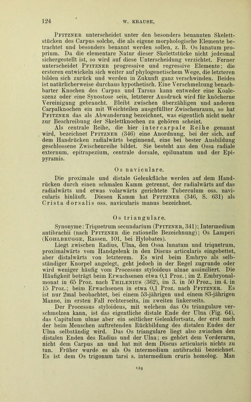 Pfitzner unterscheidet unter den besonders benannten Skelett- stücken des Carpus solche, die als eigene morphologische Elemente be- trachtet und besonders benannt werden sollen, z. B. Os lunatum pro- prium. Da die elementare Natur dieser Skelettstücke nicht jedesmal sichergestellt ist, so wird auf diese Unterscheidung verzichtet. Ferner unterscheidet Pfitzner progressive und regressive Elemente; die ersteren entwickeln sich weiter auf phylogenetischem Wege, die letzteren bilden sich zurück und werden in Zukunft ganz verschwinden. Beides ist natürlicherweise durchaus hypothetisch. Eine Verschmelzung benach- barter Knochen des Carpus und Tarsus kann entweder eine Koale- szenz oder eine Synostose sein, letzterer Ausdruck wird für knöcherne Vereinigung gebraucht. Bleibt zwischen überzähligen und anderen Carpalknochen ein mit Weichteilen ausgefüllter Zwischenraum, so hat Pfitzner das als Abwanderung bezeichnet, was eigentlich nicht mehr zur Beschreibung der Skelettknochen zu gehören scheint. Als centrale Reihe, die hier intercarpale Reihe genannt wird, bezeichnet Pfitzner (346) eine Anordnung, bei der sich, auf dem Handrücken radialwärts beginnend, eine bei bester Ausbildung geschlossene Zwischenreihe bildet. Sie besteht aus den Ossa radiale externum, epitrapezium, centrale dorsale, epilunatum und der Epi- pyramis. Os navicu 1 are. Die proximale und distale Gelenkfläche werden auf dem Hand- rücken durch einen schmalen Kamm getrennt, der radialwärts auf das radialwärts und etwas volarwärts gerichtete Tuberculum oss. navi- cularis hinläuft. Diesen Kamm hat Pfitzner (346, S. 631) als Crista dorsalis oss. navicularis manus bezeichnet. Os trianguläre. Synonyme: Triquetrum secundarium (Pfitzner, 341); Intermedium antibrachii (nach Pfitzner die rationelle Bezeichnung); Os Lamperi (Kohlrrugge, Rassen, 101, bei Hylobates). Liegt zwischen Radius, Ulna, den Ossa lunatum und triquetrum, proximalwärts vom Handgelenk in den Discus articularis eingebettet, aber distalwärts von letzterem. Es wird beim Embryo als selb- ständiger Knorpel angelegt, geht jedoch in der Regel zugrunde oder wird weniger häufig vom Processus styloideus ulnae assimiliert. Die Häufigkeit beträgt beim Erwachsenen etwa 0,1 Proz.; im 2. Embryonal- monat in 65 Proz. nach Thilenius (362), im 3. in 50 Proz., im 4. in 15 Proz.; beim Erwachsenen in etwa 0,1 Proz. nach Pfitzner. Es ist nur 2mal beobachtet, bei einem 53-jährigen und einem 83-jährigen Manne, im ersten Fall rechterseits, im zweiten linkerseits. Der Processus styloideus, mit welchem das Os trianguläre ver- schmelzen kann, ist das eigentliche distale Ende der Ulna (Fig. 64), das Capitulum ulnae aber ein seitlicher Gelenkfortsatz, der erst nach der beim Menschen auftretenden Rückbildung des distalen Endes der Ulna selbständig wird. Das Os trianguläre liegt also zwischen den distalen Enden des Radius und der Ulna; es gehört dem Vorderarm, nicht dem Carpus an und hat mit dem Discus articularis nichts zu tun. Früher wurde es als Os intermedium antibrachii bezeichnet. Es ist dem Os trigonum tarsi s. intermedium cruris homolog. Man 124