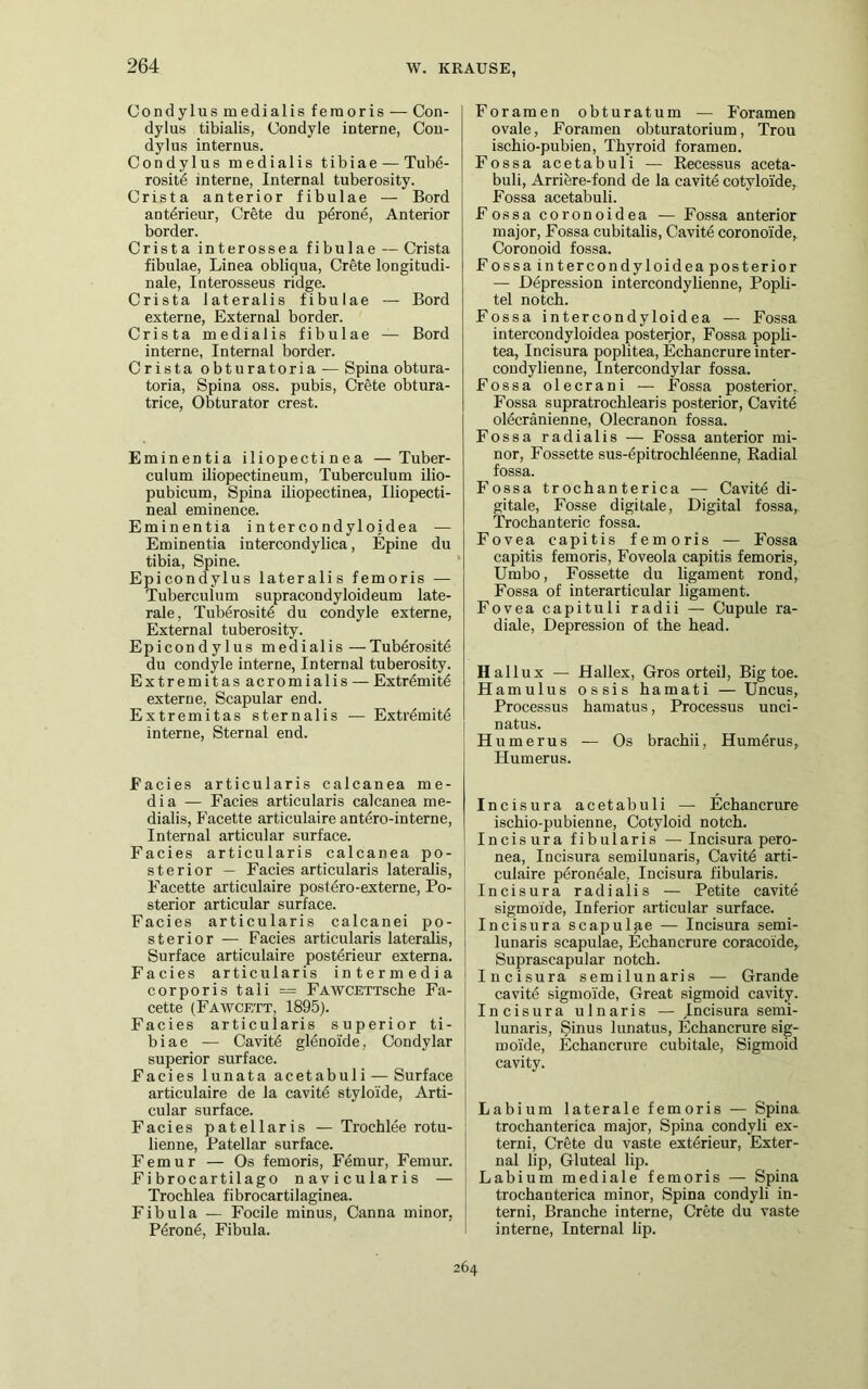 Condylusmedialis feraoris — Con- dylus tibialis, Condyle interne, Con- dylus internus. Condylus medialis tibiae — Tub4- rositd interne, Internal tuberosity. Crista anterior fibulae — Bord anterieur, Crete du perone, Anterior border. Crista interossea fibulae — Crista fibulae, Linea obliqua, Crete longitudi- nale, Interosseus ridge. Crista lateralis fibulae — Bord externe, Extern al border. Crista medialis fibulae — Bord interne, Internal border. Crista obturatoria — Spina obtura- toria, Spina oss. pubis, Crete obtura- trice, Obturator crest. Eminentia iliopectinea —Tuber- culum iliopectineum, Tuberculum ilio- pubicum, Spina iliopectinea, Iliopecti- neal eminence. Eminentia intercondyloidea — Eminentia intercondylica, Epine du tibia, Spine. Epicondylus lateralis femoris — Tuberculum supracondyloideum late- rale, Tuberositö du condyle externe, External tuberosity. Epicondylus medialis — Tuberosite du condyle interne, Internal tuberosity. Extremitas acromialis — Extremitd externe, Scapular end. Extremitas sternalis — Extrömitö interne, Sternal end. Facies articularis calcanea me- dia — Facies articularis calcanea me- dialis, Facette articulaire antero-interne, Internal articular surface. Facies articularis calcanea po- sterior — Facies articularis lateralis, Facette articulaire postero-externe, Po- sterior articular surface. Facies articularis calcanei po- sterior — Facies articularis lateralis, Surface articulaire posterieur externa. Facies articularis intermedia corporis tali = FAWCETTscbe Fa- cette (Fawcett, 1895). Facies articularis superior ti- biae — Cavit6 glenoide, Condylar superior surface. Facies lunata acetabuli — Surface articulaire de la cavite styloide, Arti- cular surface. Facies patellaris — Trochlee rotu- lienne, Patellar surface. Femur — Os femoris, Femur, Femur. Fi brocartilago navicularis — Trochlea fibrocartilaginea. Fibula — Focile minus, Canna minor, P6ron6, Fibula. Foramen obturatum — Foramen ovale, Foramen obturatorium, Trou ischio-pubien, Thyroid foramen. Fossa acetabuli — Becessus aceta- buli, Arriere-fond de la cavite cotyloide, Fossa acetabuli. Fossa coronoidea — Fossa anterior major, Fossa cubitalis, Cavitö coronoide, Coronoid fossa. Fossa intercondyloidea posterior — Depression intercondylienne, Popli- tel notch. Fossa intercondyloidea — Fossa intercondyloidea posterior, Fossa popli- tea, Incisura poplitea, Echancrure inter- condylienne, Intercondylar fossa. Fossa olecrani — Fossa posterior, Fossa supratrochlearis posterior, Cavite olecränienne, Olecranon fossa. Fossa radialis — Fossa anterior mi- nor, Fossette sus-epitrochleenne, Radial fossa. Fossa trochanterica — Cavit4 di- gitale, Fosse digitale, Digital fossa, Trochanteric fossa. Fovea capitis femoris — Fossa capitis femoris, Foveola capitis femoris, Umbo, Fossette du ligament rond, Fossa of interarticular ligament. Fovea capituli radii — Cupule ra- diale, Depression of the head. Hallux — Hallex, Gros orteil, Big toe. Hamulus ossis hamati — Uncus, Processus hamatus, Processus unci- natus. Humerus — Os brachii, Humerus, Humerus. Incisura acetabuli — Echancrure ischio-pubienne, Cotyloid notch. Incisura fibularis —Incisura pero- nea, Incisura semilunaris, Cavitd arti- culaire peronealc, Incisura fibularis. Incisura radialis — Petite cavite sigmoide, Inferior articular surface. Incisura scapulae — Incisura semi- lunaris scapulae, Echancrure coracoide, Suprascapular notch. Incisura semilunaris — Grande cavite sigmoide, Great sigmoid cavity. Incisura uInaris — Incisura semi- lunaris, Sinus lunatus, Echancrure sig- moide, Echancrure cubitale, Sigmoid cavity. Labium laterale femoris — Spina trochanterica major, Spina condyli ex- terni, Crete du vaste exterieur, Exter- nal lip, Gluteal lip. Labium mediale femoris — Spina trochanterica minor, Spina condyli in- terni, Branche interne, Crete du vaste interne, Internal lip. 264