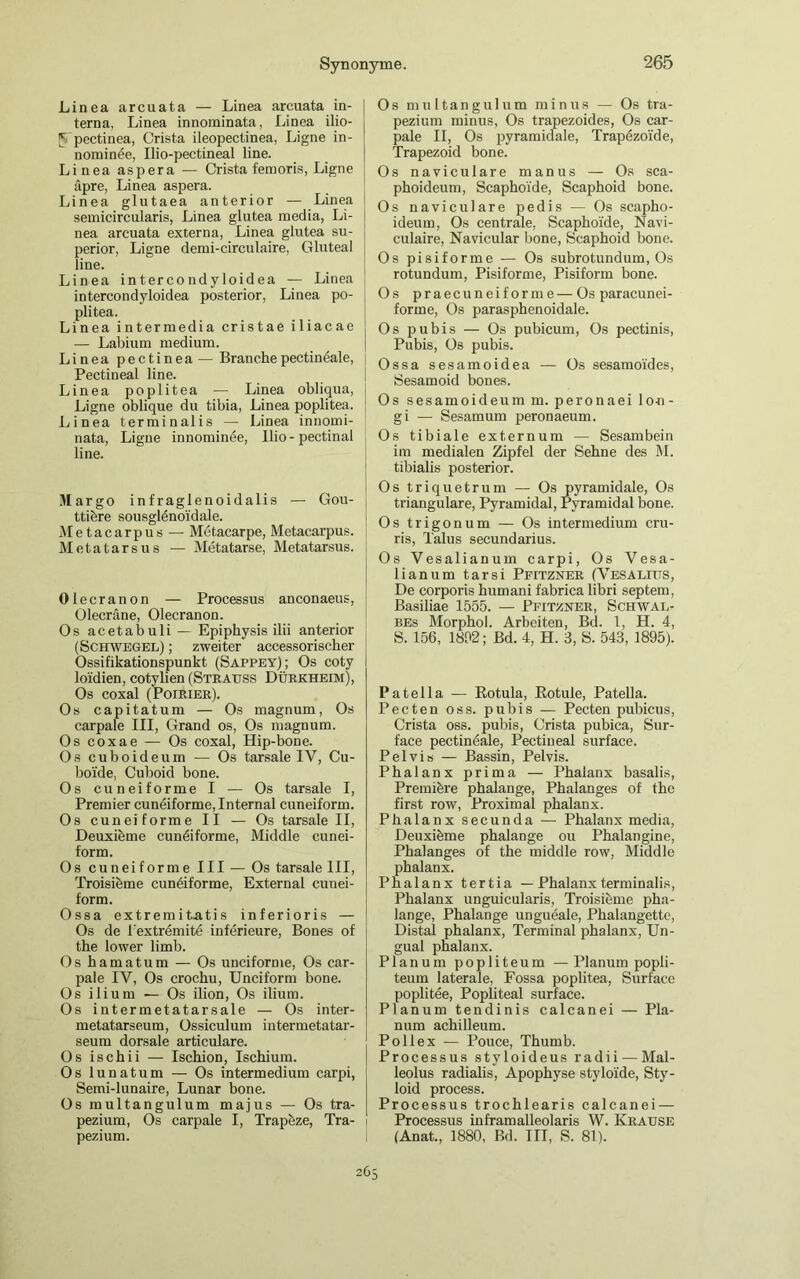 Linea arcuata — Linea arcuata in- terna, Linea innominata, Linea ilio- Vpectinea, Crista ileopectinea, Ligne in- nominee, Ilio-pectineal line. Linea aspera — Crista femoris, Ligne äpre, Linea aspera. Linea glutaea anterior — Linea semicircularis, Linea glutea media, Li- nea arcuata externa, Linea glutea su- perior, Ligne demi-circulaire, Gluteal line. Linea intercondyloidea — Linea intercondyloidea posterior, Linea po- plitea. Linea intermedia cristae iliacae — Labium medium. Linea pectinea — Branchepectineale, Pectineal line. Linea poplitea — Linea obliqua, Ligne oblique du tibia, Linea poplitea. Linea terminalis — Linea innomi- nata, Ligne innominbe, Ilio - pectinal line. Margo infraglenoidalis — Gou- ttiere sousglenoidale. Metacarpus — Metacarpe, Metacarpus. Metatarsus — Metatarse, Metatarsus. Olecranon — Processus anconaeus, Olecräne, Olecranon. Os acetabuli— Epiphysis ilii anterior (Schwegel) ; zweiter accessorischer Ossifikationspunkt (Sappey); Os coty loidien, cotylien (Strauss Dürkheim), Os coxal (Poirier). Os capitatum — Os magnum, Os carpale III, Grand os, Os magnum. Os coxae — Os coxal, Hip-bone. Os cuboideum — Os tarsale IY, Cu- boi'de, Cuboid bone. Os cuneiforme I — Os tarsale I, Premier cuneiforme, Internal cuneiform. Os cuneiforme II — Os tarsale II, Deuxibme cuneiforme, Middle cunei- form. Os cuneiforme III — Os tarsale III, Troisibme cuneiforme, External cunei- form. Ossa extremit-atis inferioris — Os de lextremite inferieure, Bones of the lower limb. Os hamatum — Os unciforme, Os car- pale IV, Os crochu, Unciform bone. Os ilium — Os ilion, Os ilium. Os intermetatarsale — Os inter- metatarseum, Ossiculum intermetatar- seum dorsale articulare. Os ischii — Ischion, Ischium. Os lunatum — Os intermedium carpi, Semi-lunaire, Lunar bone. Os multangulum majus — Os tra- pezium, Os carpale I, Trapeze, Tra- pezium. Os multangulum minus — Os tra- pezium minus, Os trapezoides, Os car- pale II, Os pyramidale, Trapezoi'de, Trapezoid bone. Os naviculare manus — Os sca- phoideum, Scaphoide, Scaphoid bone. Os naviculare pedis — Os scapho- ideum, Os centrale, Scaphoide, Navi- culaire, Navicular bone, Scaphoid bone. Os pisiforme — Os subrotundum, Os rotundum, Pisiforme, Pisiform bone. Os praecuneiforme — Os paracunei- forme, Os parasphenoidale. Os pubis — Os pubicum, Os pectinis, Pubis, Os pubis. Ossa sesamoidea — Os sesamoi'des, Sesamoid bones. Os sesamoideumm. peronaei lo-n - gi — Sesamum peronaeum. Os tibiale externuni — Sesambein im medialen Zipfel der Sehne des M. tibialis posterior. Os triquetrum — Os pyramidale, Os trianguläre, Pyramidal, Pyramidal bone. Os trigonum — Os intermedium cru- ris, Talus secundarius. Os Vesalianum carpi, Os Vesa- lianum tarsi Pfitzner (Vesalitis, De corporis humani fabrica libri septem, Basiliae 1555. — Pfitzner, Schwar- bes Morphol. Arbeiten, Bd. 1, H. 4, S. 156, 1862; Bd. 4, H. 3, S. 543, 1895). Patella — Rotula, Rotule, Patella. Pecten oss. pubis — Pecten pubicus, Crista oss. pubis, Crista pubica, Sur- face pectineale, Pectineal surface. Pelvi» — Bassin, Pelvis. Phalanx prima — Phalanx basalis, Premibre phalange, Phalanges of the first row, Proximal phalanx. Phalanx secunda — Phalanx media, Deuxibme phalange ou Phalangine, Phalanges of the middle row, Middle phalanx. Phalanx tertia — Phalanx terminalis, Phalanx unguicularis, Troisicme pha- lange, Phalange ungueale, Phalangette, Distal phalanx, Terminal phalanx, Un- gual pnalanx. Planum popliteum —Planum popli- teum laterale, Fossa poplitea, Surface poplitee, Popliteal surface. Planum tendinis calcanei — Pla- num achilleum. Po Ilex — Pouce, Thumb. Processus styloideus radii — Mal- leolus radialis, Apophyse stylo'ide, Sty- loid process. Processus trochlearis calcanei — Processus inframalleolaris W. Krause (Anat., 1880, Bd. III, S. 81). 265