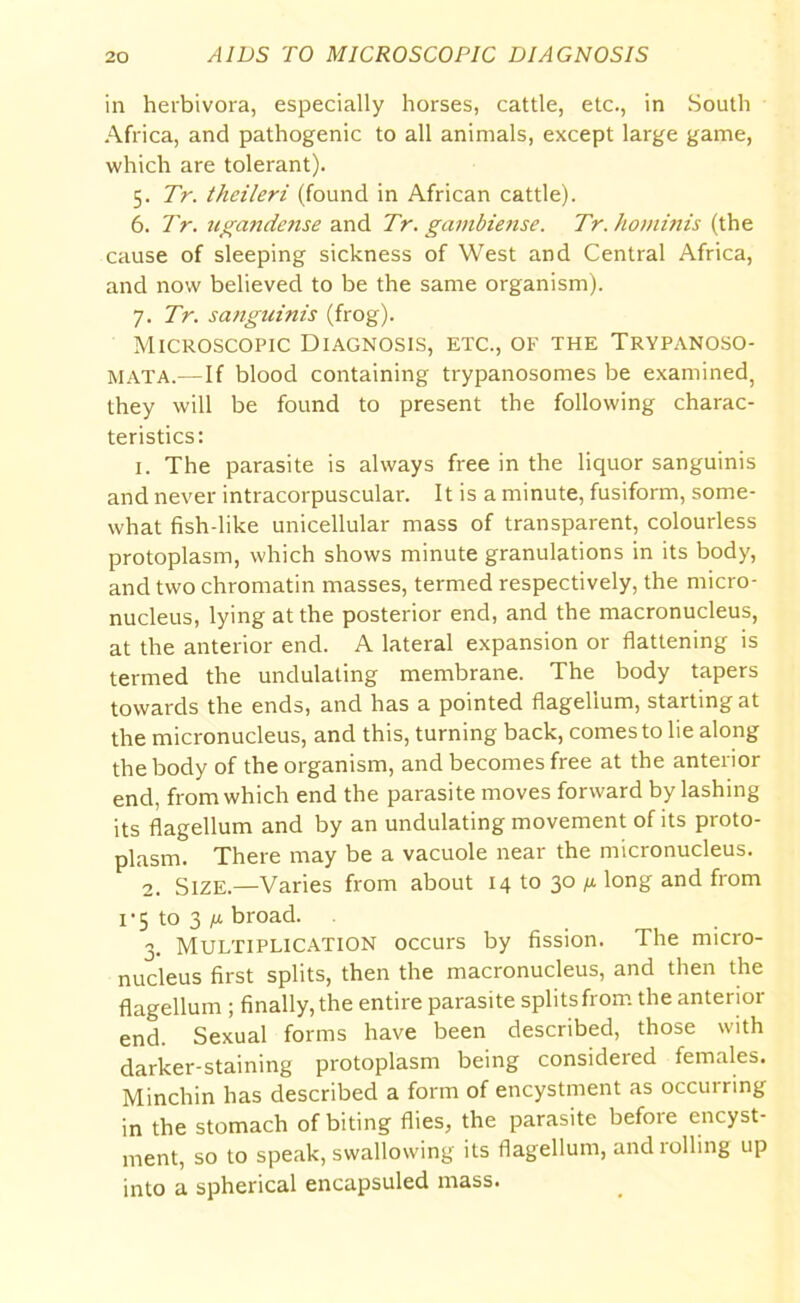 in herbivora, especially horses, cattle, etc., in South Africa, and pathogenic to all animals, except large game, which are tolerant). 5. Tr. theileri (found in African cattle). 6. Tr. ugandense and Tr. gambiense. Tr. hominis (the cause of sleeping sickness of West and Central Africa, and now believed to be the same organism). 7. Tr. sanguinis (frog). Microscopic Diagnosis, etc., of the Trypanoso- mata.—If blood containing trypanosomes be examined, they will be found to present the following charac- teristics: 1. The parasite is always free in the liquor sanguinis and never intracorpuscular. It is a minute, fusiform, some- what fish-like unicellular mass of transparent, colourless protoplasm, which shows minute granulations in its body, and two chromatin masses, termed respectively, the micro- nucleus, lying at the posterior end, and the macronucleus, at the anterior end. A lateral expansion or flattening is termed the undulating membrane. The body tapers towards the ends, and has a pointed flagellum, starting at the micronucleus, and this, turning back, comes to lie along the body of the organism, and becomes free at the anterior end, from which end the parasite moves forward by lashing its flagellum and by an undulating movement of its proto- plasm. There may be a vacuole near the micronucleus. 2. Size.—Varies from about 14 to 30 long and from 1 • 5 to 3 m broad. 3. Multiplication occurs by fission. The micro- nucleus first splits, then the macronucleus, and then the flagellum ; finally, the entire parasite splits from the anterior end. Sexual forms have been described, those with darker-staining protoplasm being considered females. Minchin has described a form of encystment as occurring in the stomach of biting flies, the parasite before encyst- ment, so to speak, swallowing its flagellum, and rolling up into a spherical encapsuled mass.