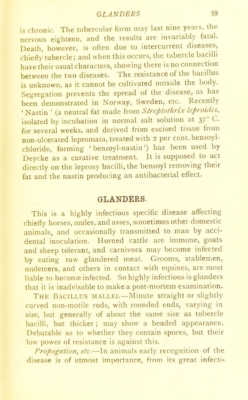 is chronic. The tubercular form may last nine years, the nervous eighteen, and the results are invariably fatal. Death, however, is often due to intercurrent diseases, chiefly tubercle; and when this occurs, the tubeicle bacilli have their usual characters, showing there is no connection between the two diseases. The resistance of the bacillus is unknown, as it cannot be cultivated outside the body. Segregation prevents the spread of the disease, as has been demonstrated in Norway, Sweden, etc. Recently ‘ Nastin ’ (a neutral fat made from Streptothrix lept oides, isolated by incubation in normal salt solution at 370 C. for several weeks, and derived from excised tissue from non-ulcerated lepromata, treated with 2 per cent, benzoyl- chloride, forming ‘ benzoyl-nastin ’) has been used by Deycke as a curative treatment. It is supposed to act directly on the leprosy bacilli, the benzoyl removing their fat and the nastin producing an antibacterial effect. GLANDERS. This is a highly infectious specific disease affecting chiefly horses, mules, and asses, sometimes other domestic animals, and occasionally transmitted to man by acci- dental inoculation. Horned cattle are immune, goats and sheep tolerant, and carnivora may become infected by eating raw glandered meat. Gi'ooms, stablemen, muleteers, and others in contact with equines, are most liable to become infected. So highly infectious is glanders that it is inadvisable to make a post-mortem examination. The Bacillus mallei.—Minute straight or slightly curved non-motile rods, with rounded ends, varying in size, but generally of about the same size as tubercle bacilli, but thicker; may show a beaded appearance. Debatable as to whether they contain spores, but their low power of resistance is against this. Propagation, etc.—In animals early recognition of the disease is of utmost importance, from its great infecti-