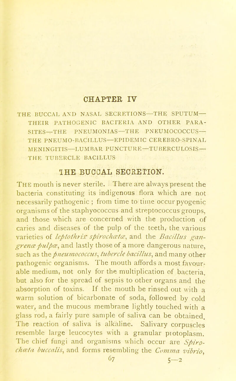 CHAPTER IV THE BUCCAL AND NASAL SECRETIONS—THE SPUTUM— THEIR PATHOGENIC BACTERIA AND OTHER PARA- SITES—THE PNEUMONIAS—THE PNEUMOCOCCUS— THE PNEUMO-BACILLUS—EPIDEMIC CEREBRO-SPINAL MENINGITIS—LUMBAR PUNCTURE—TUBERCULOSIS— THE TUBERCLE BACILLUS THE BUCCAL SECRETION. The mouth is never sterile. There are always present the bacteria constituting its indigenous flora which are not necessarily pathogenic ; from time to time occur pyogenic organisms of the staphyococcus and streptococcus groups, and those which are concerned with the production of caries and diseases of the pulp of the teeth, the various varieties of leptothrix spirochcetce, and the Bacillus gan- grenes pulpce, and lastly those of a more dangerous nature, such as the pneumococcus, tubercle bacillus, and many other pathogenic organisms. The mouth affords a most favour- able medium, not only for the multiplication of bacteria, but also for the spread of sepsis to other organs and the absorption of toxins. If the mouth be rinsed out with a warm solution of bicarbonate of soda, followed by cold water, and the mucous membrane lightly touched with a glass rod, a fairly pure sample of saliva can be obtained. The reaction of saliva is alkaline. Salivary corpuscles resemble large leucocytes with a granular piotoplasm. The chief fungi and organisms which occur are Spi.ro- chceta buccalis, and forms resembling the Comma vibrio,