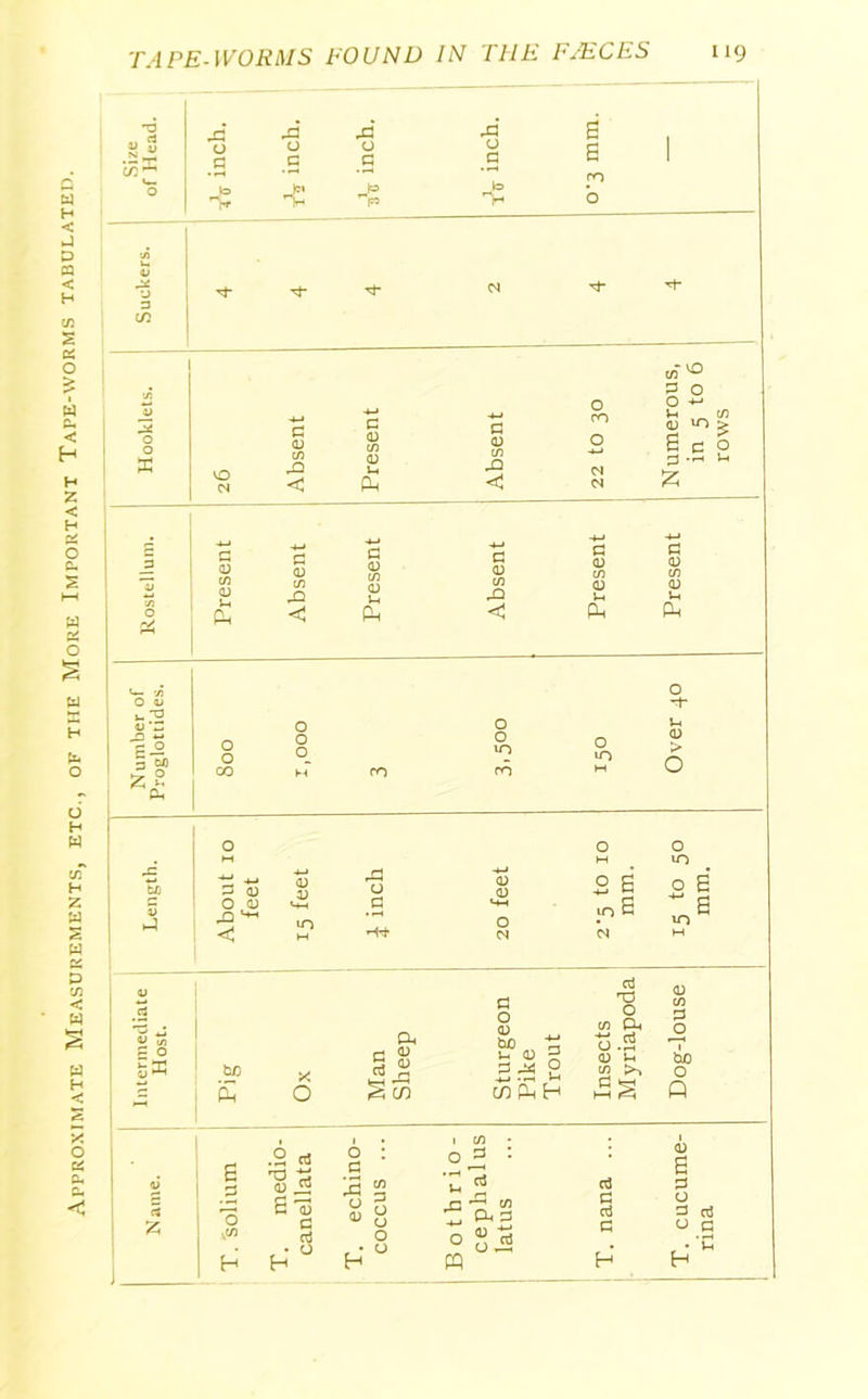Approximate Measurements, etc., of the More Important Tape-worms tabulated. •d xi E S 4) S T* O u c o G a B 1 CO «*. o r£ Jo P Jo H rn o ui N ^t* in' ^ CO £ ° Hooklet o cs Absent Present Absent o co o <N <N Numerc in 5 1 rows _5 G 0 G 0 G 0 G 0 G 0 G 0 0 C/3 0 rG 0 u 0 u o £ c Ph c Pn Ph o o CO o o in o in <u > o o O o M M in p 0 0 0 u 0 0 2 £ 2 i O 0 in G o in £ < M <N M to s x o .X d £ '0 g cti H ° a, § £ § cn G o 0 to p 2 co Ph H d np O C/3 Oh O .2 0) U a p 0 1 bo O Q i C/3 • O => : C/3 P P O u o o o t b i ;eph atus G d G PQ H 0) £ p o p o H