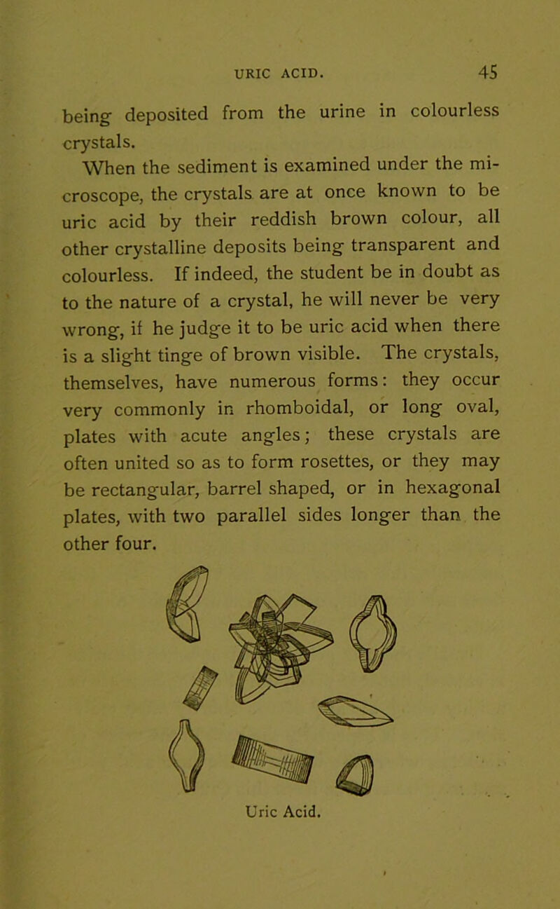 being deposited from the urine in colourless crystals. When the sediment is examined under the mi- croscope, the crystals are at once known to be uric acid by their reddish brown colour, all other crystalline deposits being transparent and colourless. If indeed, the student be in doubt as to the nature of a crystal, he will never be very wrong, il he judge it to be uric acid when there is a slight tinge of brown visible. The crystals, themselves, have numerous forms: they occur very commonly in rhomboidal, or long oval, plates with acute angles; these crystals are often united so as to form rosettes, or they may be rectangular, barrel shaped, or in hexagonal plates, with two parallel sides longer than the other four. Uric Acid.