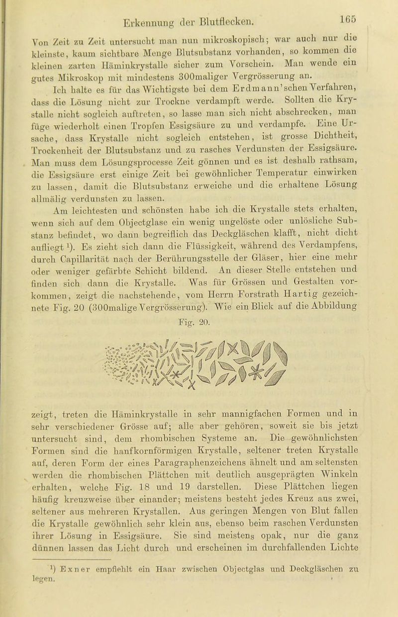 Von Zeit zu Zeit untersucht man nun mikroskopisch; war auch uur die kleinste, kaum sichtbare Monge Blutsubstanz vorhanden, so kommen die kleinen zarten Häminkrystalle sicher zum Vorschein. Man wende ein gutes Mikroskop mit mindestens 300maliger Vergrösseruug an. Ich halte es für das Wichtigste hei dem Erdmann’schen Verfahren, dass die Lösung nicht zur Trockne verdampft werde. Sollten die Kry- stalle nicht sogleich auftreten, so lasse man sich nicht ahschrecken, man füge wiederholt einen Tropfen Essigsäure zu und verdampfe. Eine Ui- sache, dass Krystalle nicht sogleich entstehen, ist grosse Dichtheit, Trockenheit der Blutsubstanz und zu rasches Verdunsten der Essigsäure. Man muss dem Lösungsprocesse Zeit gönnen und es ist deshalb rathsam, die Essigsäure erst einige Zeit bei gewöhnlicher 1 emperatur einwuken zu lassen, damit die Blutsubstanz erweiche und die erhaltene Lösung allmälig verdunsten zu lassen. Am leichtesten und schönsten habe ich die Krystalle stets erhalten, wenn sich auf dem Objectglase ein wenig ungelöste oder unlösliche Sub- stanz befindet, wo dann begreiflich das Deckgläschen klafft, nicht dicht anfliegt1). Es zieht sich dann die Flüssigkeit, während des Verdampfens, durch Capillarität nach der Berührungsstelle der Gläser, hier eine mehr oder weniger gefärbte Schicht bildend. An dieser Stelle entstehen und finden sich dann die Krystalle. Was für Grössen und Gestalten Vor- kommen, zeigt die nachstehende, vom Herrn Forstrath Hartig gezeich- nete Fig. 20 (300malige Vergrösserung). Wie ein Blick auf die Abbildung Fig. 20. zeigt, treten die Häminkrystalle in sehr mannigfachen Formen und in sehr verschiedener Grösse auf; alle aber gehören, soweit sie bis jetzt untersucht sind, dem rhombischen Systeme an. Die gewöhnlichsten Formen sind die hanfkornförmigen Krystalle, seltener treten Krystalle auf, deren Form der eines Paragraphenzeichens ähnelt und am seltensten werden die rhombischen Plättchen mit deutlich ausgeprägten Winkeln erhalten, welche Fig. 18 und 19 darstellen. Diese Plättchen liegen häufig kreuzweise über einander; meistens besteht jedes Kreuz aus zwei, seltener aus mehreren Krystallen. Aus geringen Mengen von Blut fallen die Krystalle gewöhnlich sehr klein ans, ebenso beim raschen Verdunsten ihrer Lösung in Essigsäure. Sie sind meistens opak, nur die ganz dünnen lassen das Licht durch und erscheinen im durchfallenden Lichte !) Exner empfiehlt ein Haar zwischen Objectglas und Deckgläschen zu legen. •