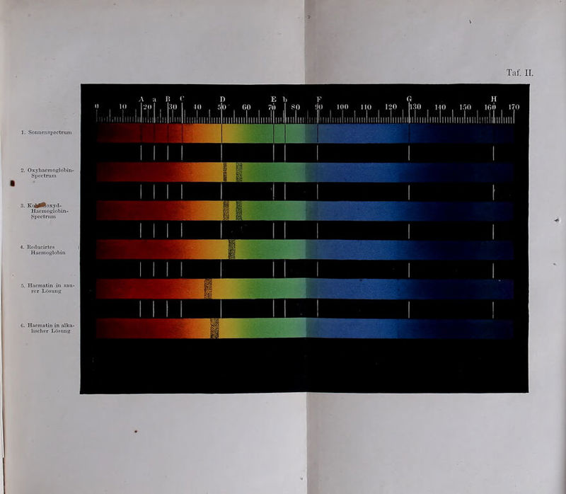 2. Oxyhacmoglobin- Spcetrura 3. KftrfHox.vcl- Haemoglobin- Spectnun 4. Iteducirtes Haemoglobin 5. Haematin in sau- rer Lösung 0. Haematin in alka- lischer Lösung v \ Taf. II.