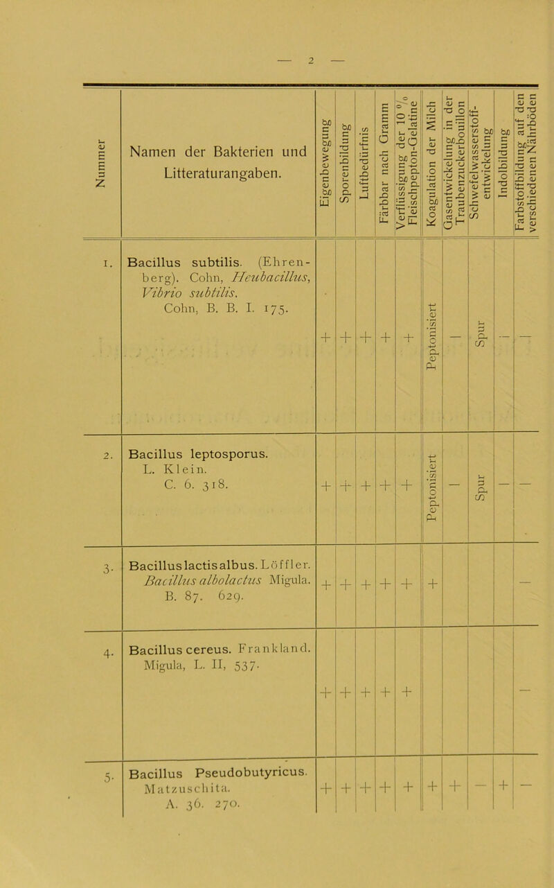 Nummer Namen der Bakterien und Litteraturangaben. Eigenbewegung Sporenbildung Luftbedürfnis | Färbbar nach Gramm || Verflüssigung der 10 % Fleischpepton-Gelatine Koagulation der Milch Gasentwickelung in der Traubenzuckerbouillon Schwefelwasserstoff- entwickelung 1 Indolbildung Farbstoffbildung auf den verschiedenen Nährböden I. Bacillus subtilis. (Ehren- berg). Cohn, Hcubacilhis, Vibrio subtilis. Cohn, B. B. I. 175. + + + + + Peptonisiert — Spur — 2. Bacillus leptosporus. L. Klein. C. 6. 318. + -f + + + Peptonisiert — Spur — — 3- Bacillus lactis albus. Löffle r. JSacillus albolactus Migula. B. 87. 62g. + + + + + + — 4- Bacillus cereus. Franklancl. Migula, L. 11, 537- + + + + + — 5- Bacillus Pseudobutyricus. M atzuscli ita. A. 36. 270. -t- + + + + + + — + —