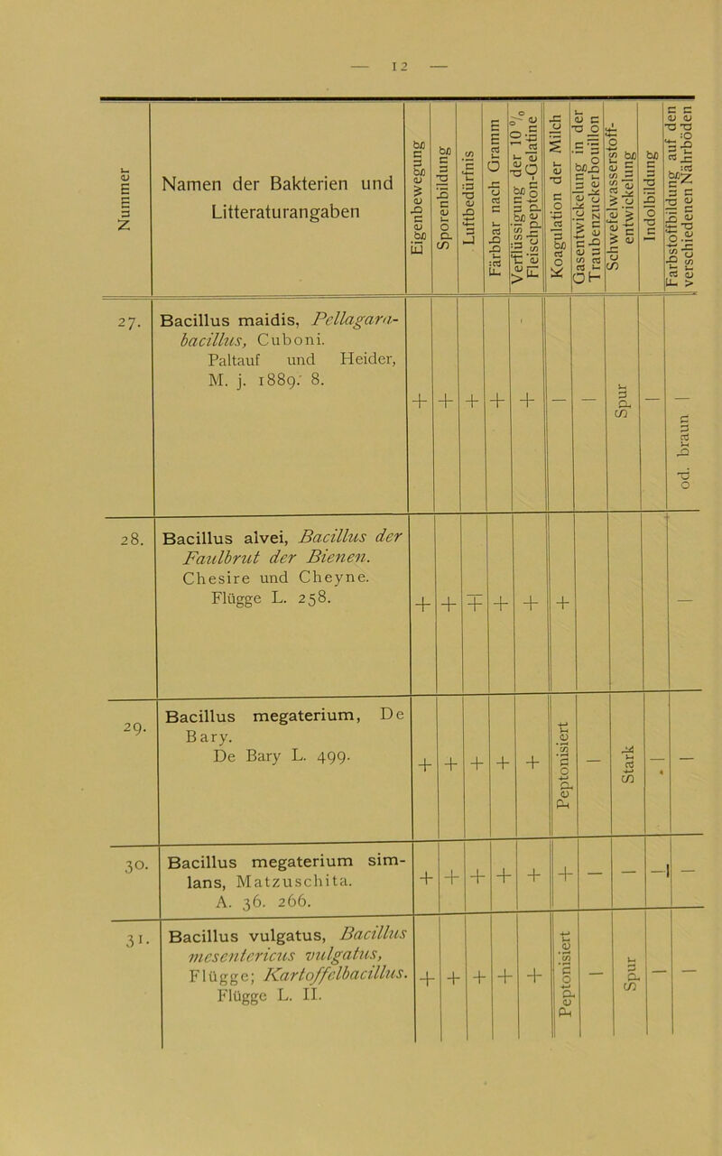 Nummer Namen der Bakterien und Litteraturangaben Eigenbewegung 1 Sporenbildung 1 Luftbedürfnis 1 Färbbar nach Gramm || Vertlussigung aer lu 7o Fleischpepton-Gelatine Koagulation der Milch 1 Gasentwickelung m aer | Traubenzuckerbouillon | SchwetelwasserstoTT- 1 entwickehmg | b/3 c 3 2 3 - 3 * 1 rarbstotTbildung aui aen ■ 1 verschiedenen Nährböden | 27. Bacillus maidis, Pellagarn- bacillus, Cuboni. Paltauf und Heider, M. j. 1889; 8. + + + + + — — Spur — od. braun 1 28. Bacillus alvei, Bacillus der Faulbrut der Bienen. Chesire und Cheyne. Flügge L. 258. + + + + + 1 + — 29. Bacillus megaterium, De B ary. De Bary L. 499. + + + + + Peptonisiert — Stark • — 30- Bacillus megaterium sim- lans, Matzuschita. A. 36. 266. d- + 4 + + — — - - 3'- Bacillus vulgatus, Bacillus mesentericus vulgatus, Flügge; I^artoffclbacillus. + + + + + Peptonisiert Spur —