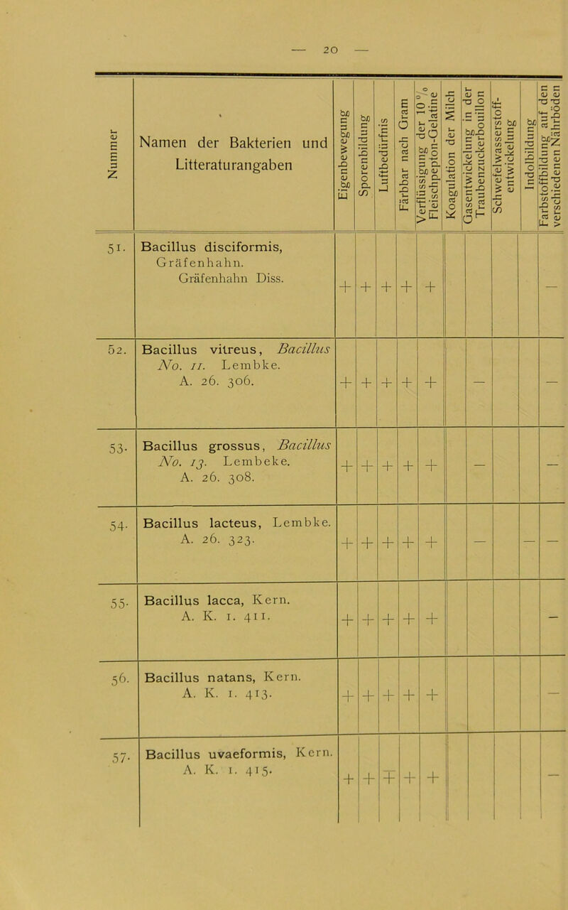 Nummer Namen der Bakterien und Litteratu rangaben Eigenbewegung l Sporenbildung 1 Luftbedürfnis I Färbbar nach Gram 1 Verflüssigung der 1U70 Fleischpepton-Gelatine j Al 1 Ü . U, 'O c  .2 - . ’S ^ bÄ cö 0 uaseniwiCKemng m uer i Traubenzuckerbouillon I Schwefelwasserstoff- 1 entwickelung I Indolbildung I Farbstoffbildung auf den I verschiedenen Nährböden || 51- Bacillus disciformis, Gräfenhahn. Gräfenhahn Diss. + + + 1 T + — 52. Bacillus vilreus, Bacillus No. II. Lembke. A. 26. 306. + + 1 T + + — —- 53- Bacillus grossus, Bacillus No. ij. Lembeke. A. 26. 308. + + + + + — — 54- Bacillus lacteus, Lembke. A. 26. 323. + + + + + — — — 55- Bacillus lacca, Kern. A. K. 1. 411. + + + + — 56- Bacillus natans, Kern. A. K. I. 413. + + + + + — 57- Bacillus uvaeformis, Kern. A. K. I. 415. + + + + + —