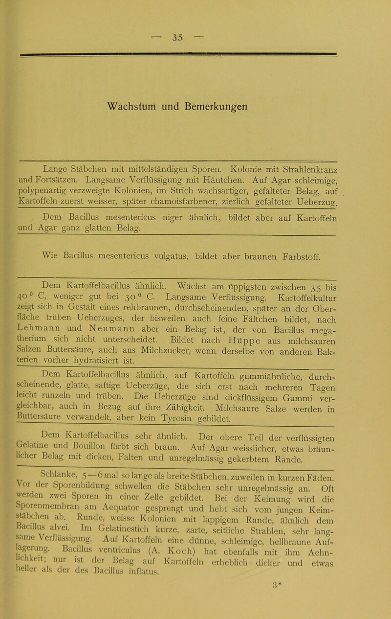 Wachstum und Bemerkungen Lange Stäbchen mit mittelständigen Sporen. Kolonie mit Strahlenkranz und Fortsätzen. Langsame Verflüssigung mit Häutchen. Auf Agar schleimige, polypenartig verzweigte Kolonien, im Strich wachsartiger, gefalteter Belag, auf Kartoffeln zuerst weisser, später chamoisfarbener, zierlich gefalteter Ueberzug. Dem Bacillus mesentericus niger ähnlich, bildet aber auf Kartoffeln und Agar ganz glatten Belag. Wie Bacillus mesentericus vulgatus, bildet aber braunen Farbstoff. Dem Kartoffelbacillus ähnlich. Wächst am üppigsten zwischen 35 bis 40® C, weniger gut bei 30® C. Langsame Verflüssigung. Kartoffelkultur zeigt sich in Gestalt eines rehbraunen, durchscheinenden, .später an der Ober- fläche trüben Ueberzuges, der bi.sweilen auch feine Fältchen bildet, nach Lehmann und Neumann aber ein Belag ist, der von Bacillus mega- therium sich nicht unterscheidet. Bildet nach Hüppe aus milchsauren Salzen Buttersäure, auch aus Milchzucker, wenn derselbe von anderen Bak- terien vorher hydratisiert ist. Dem Kartoffelbacillus ähnlich, auf Kartoffeln gummiähnliche, durch- scheinende, glatte, saftige Ueberzüge, die sich erst nach mehreren Tagen leicht runzeln und trüben. Die Ueberzüge sind dickflüssigem Gummi ver- gleichbar, auch in Bezug auf ihre Zähigkeit. Milchsäure Salze werden in Buttersäure verwandelt, aber kein Tyrosin gebildet. Dem Kartoffelbacillus sehr ähnlich. Der obere Teil der verflüssigten Gelatine und Bouillon färbt sich braun. Auf Agar weisslicher, etwas bräun- licher Belag mit dicken, Falten und unregelmässig gekerbtem Rande. Schlanke, 5 6 mal so lange als breite Stäbchen, zuweilen in kurzen Fäden. Vor der Sporenbildung schwellen die Stäbchen sehr unregelmässig an. Oft werden zwei Sporen in einer Zelle gebildet. Bei der Keimung wird die Sporenmembran am Aequator gesprengt und hebt sich vom jungen Keim- stäbchen ab. Runde, weisse Kolonien mit lappigem Rande, ähnlich dem Bacillas alvei. Im Gelatinestich kurze, zarte, seitliche Strahlen, sehr lang- same Verflüssigung. Auf Kartoffeln eine dünne, schleimige, hellbraune Auf- a^rung. Bacillus ventriculus (A. Koch) hat ebenfalls mit ihm Aehn- ichkeit; nur ist der Belag auf Kartoffeln erheblich dicker und etwas heller als der des Bacillus inflatus.