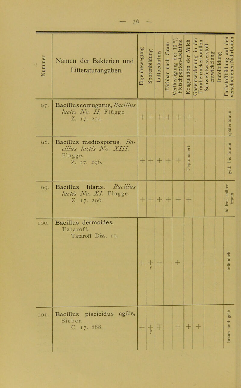Nummer Namen der Bakterien und Litteraturangaben. Eigenbeweguiig || Sporenbildung |j Luftbedürfnis j| Färbbar nach Gram j| Verflüssigung der 10 ®/o 1 Fleischpepton-Gelatine | Koagulation der Milch | Gasentwickelung in der Traubenzuckerbouillon Schwefelwasserstoff- ! entwickelung Indolbildung 1 Farbstoffbildung auf den 1 verschiedenen Nährböden || 97- Bacillus corrugatus, Bacillus lactis No. //, Flügge. Z. 17. 294. + + + + 1 + später braun | 98. Bacillus mediosporus, Ba- cillus lactis No. XIII. Flügge. Z. 17. 296. + + + Peptomsiert gelb bis braun 99- Bacillus filaris, Bacillus lactis No. XI. Flügge. Z. 17. 296. + + + + i + hellrot später braun 100. Bacillus dermoides, T ataroff. Tataroff Diss. 19. + + ? + bräunlich lOI. Bacillus piscicidus agilis, Sieber. C. 17. 888. -f + ? + + + + braun und gelb