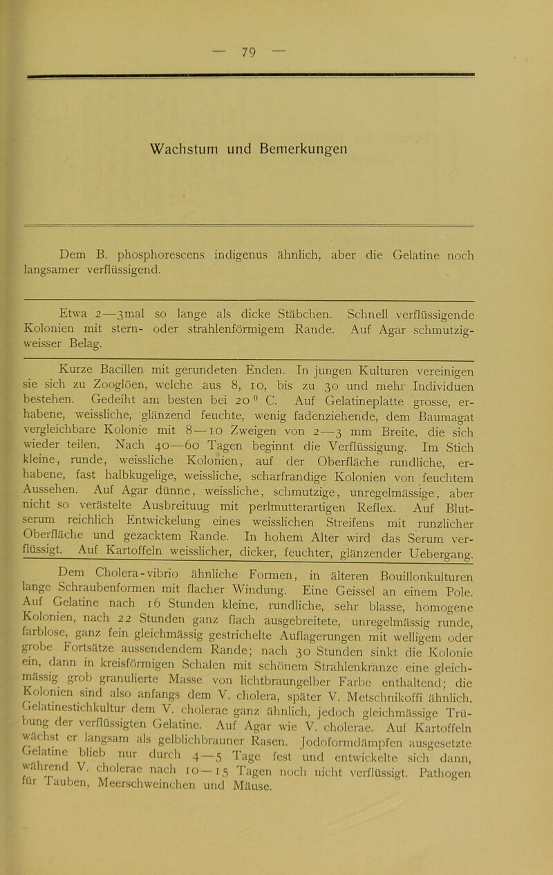 Wachstum und Bemerkungen Dem B. phosphorescens indigenus ähnlich, aber die Gelatine noch langsamer verflüssigend. Etwa 2—3mal so lange als dicke Stäbchen. Schnell verflüssigende Kolonien mit stem- oder strahlenförmigem Rande. Auf Agar schmutzig- weisser Belag. Kurze Bacillen mit gerundeten Enden. In jungen Kulturen vereinigen sie sich zu Zooglöen, welche aus 8, lo, bis zu 30 und mehr Individuen bestehen. Gedeiht am besten bei 20 ° C. Auf Gelatineplatte grosse, er- habene, weissliche, glänzend feuchte, wenig fadenziehende, dem Baumagat vergleichbare Kolonie mit 8 —10 Zweigen von 2—3 mm Breite, die sich wieder teilen. Nach 40—60 Tagen beginnt die Verflüssigung. Im Stich kleine, runde, weissliche Kolonien, auf der Oberfläche rundliche, er- habene, fast halbkugelige, weissliche, scharfrandige Kolonien von feuchtem Aussehen. Auf Agar dünne, weissliche, schmutzige, unregelmässige, aber nicht so verästelte Ausbreitung mit perlmutterartigen Reflex. Auf Blut- serum reichlich Entwickelung eines weisslichen Streifens mit runzlicher Oberfläche und gezacktem Rande. In hohem Alter wird das Serum ver- flüssigt. Auf Kartoffeln weisslicher, dicker, feuchter, glänzender Uebero-ano Dem Cholera-Vibrio ähnliche Formen, in ältei'en Bouillonkulturen lange Schraubenformen mit flacher Windung. Eine Geissei an einem Pole. Auf Gelatine nach 16 Stunden kleine, rundliche, sehr blasse, homogene Kolonien, nach 22 Stunden ganz flach ausgebreitete, unregelmässig runde, farblose, ganz fein gleichmässig gestrichelte Auflagerungen mit welligem oder grobe Fortsätze aussendendem Rande; nach 30 Stunden sinkt die Kolonie em, dann in kreisförmigen Schalen mit schönem Strahlenkränze eine gleich- mässig grob granulierte Masse von lichtbraungelber Farbe enthaltend; die Kolonien sind also anfangs dem V. cholera, später V. Metschnikoffi ähnlich. Gelatmestichkultur dem V. cholerae ganz ähnlich, jedoch gleichmässige Trü- bung der verflüssigten Gelatine. Auf Agar wie V. cholerae. Auf Kartoffeln wäc ist er langsam als gelblichbrauner Rasen. Jodoformdämjifen ausgesetzte e atme blieb nur durch 4—3 IVge fest und entwickelte sich dann, ^äircnc V. cholerae nach 10—13 Tagen noch nicht verflüssigt. Pathogen tur 1 auben, Meerschweinchen und Mäuse.