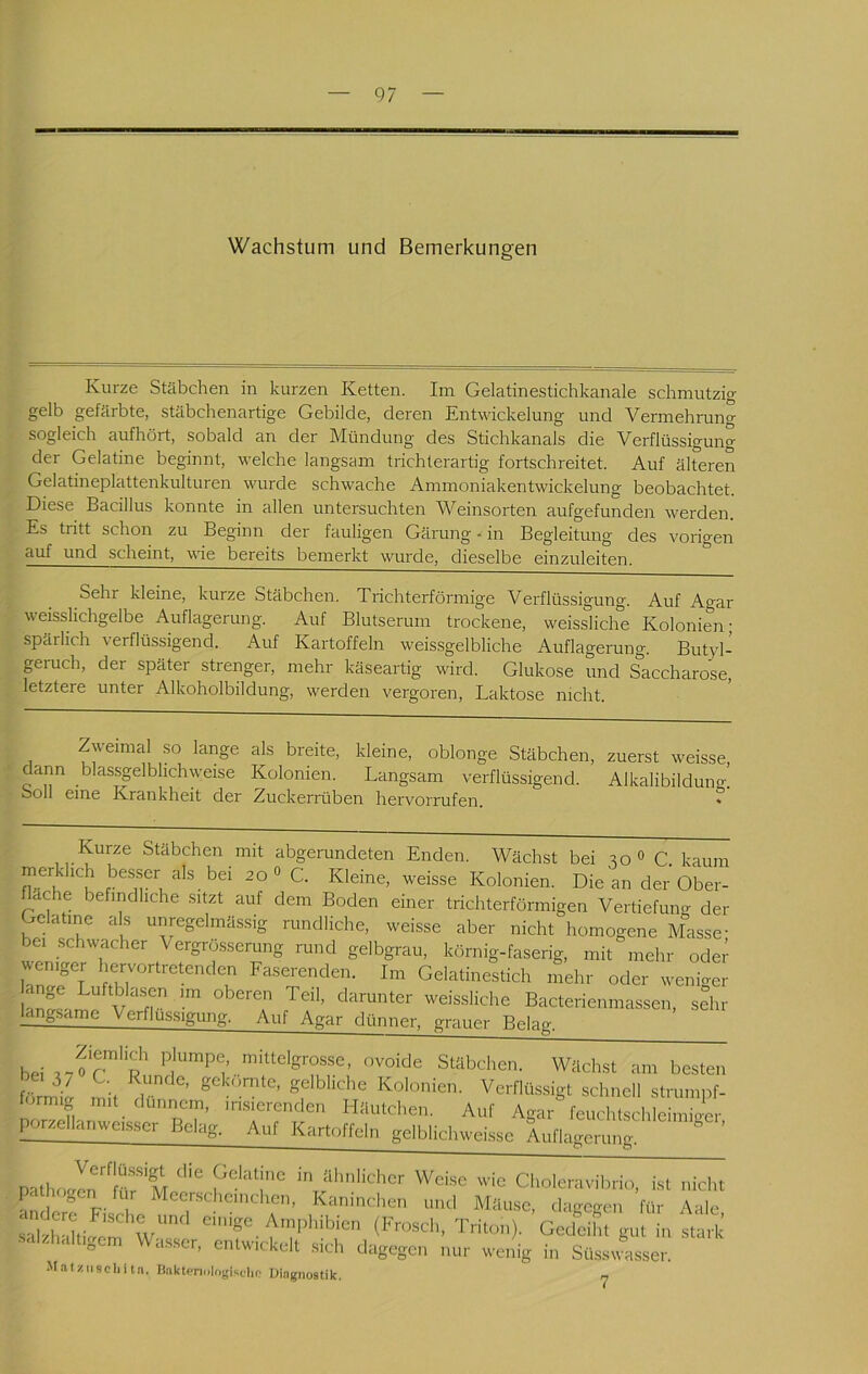 Wachstum und Bemerkungen Kurze Stäbchen in kurzen Ketten. Im Gelatinestichkanale schmutzig gelb gefärbte, stäbchenartige Gebilde, deren Entwickelung und Vermehrung sogleich aufhört, sobald an der Mündung des Stichkanals die Verflüssigung der Gelatine beginnt, welche langsam tiichterartig fortschreitet. Auf älteren Gelatineplattenkulturen wurde schwache Ammoniakentwickelung beobachtet. Diese Bacillus konnte in allen untersuchten Weinsorten aufgefunden werden. Es tritt schon zu Beginn der fauligen Gärmig ■ in Begleitung des vorigen auf und scheint, wie bereits bemerkt wurde, dieselbe einzuleiten. Sehr kleine, kurze Stclbchen. Trichterförmige Verflüssigung. Auf Agar weisslichgelbe Auflagerung. Auf Blutserum trockene, weissliche Kolonien- spärlich verflüssigend. Auf Kartoffeln weissgelbliche Auflagerung. Butyl- geruch, der später strenger, mehr käseartig wird. Glukose und Saccharose, letztere unter Alkoholbildung, werden vergoren, Laktose nicht. Zweimal so lange als breite, kleine, oblonge Stäbchen, zuerst weisse, dann blassgelbhchweise Kolonien. Langsam verflüssigend. Alkalibilduno-, ooli eine Krankheit der Zuckerrüben hervorrufen. ^ Kurze Stäbchen mit abgerundeten Enden. Wächst bei C kaum merklich besser als bei 20» C. Kleine, weisse Kolonien. Die an der’Ober- dche befindliche sitzt auf dem Boden einer trichterförmigen Vertiefung der Gelatme als unregelmässig rundliche, weisse aber nicht homogene Masse- bei schwacher Vergrösserung rund gelbgrau, körnig-faserig, mit mehr oder lirj'l Faserenden. Im Gelatinestich mehr oder weniger an^t^ v 'Missliche Bacterienmassen, sehr langsame Verflüssigung. Auf Agar dünner, grauer Belag. ’ bei Stäbchen. Wächst am besten Unml mit gf'bhche Kolonien. Verflüssigt schnell strumpf- formig mit dünnem, irisierenden Häutchen. Auf Agar feuchtschleimio-er ^zcllanweisser Belag. Auf Kartoffeln gelblichweisse Auflagerung. ” ’ pathoJn'ter'M ^Veise wie Choleravibrio, ist nicht pa logen für Mcerschcinchen, Kaninchen und Mäuse, dagegen für Aale PilzLiltiJnPw''' Ampinbien (Frosch, Triton). Gedeiht gut in stark salzhaltigem Wasser, entwickelt sich dagegen nur wenig in Süss.tsser. Matziiscliita. liaktmologisclio Oingnostik. ^