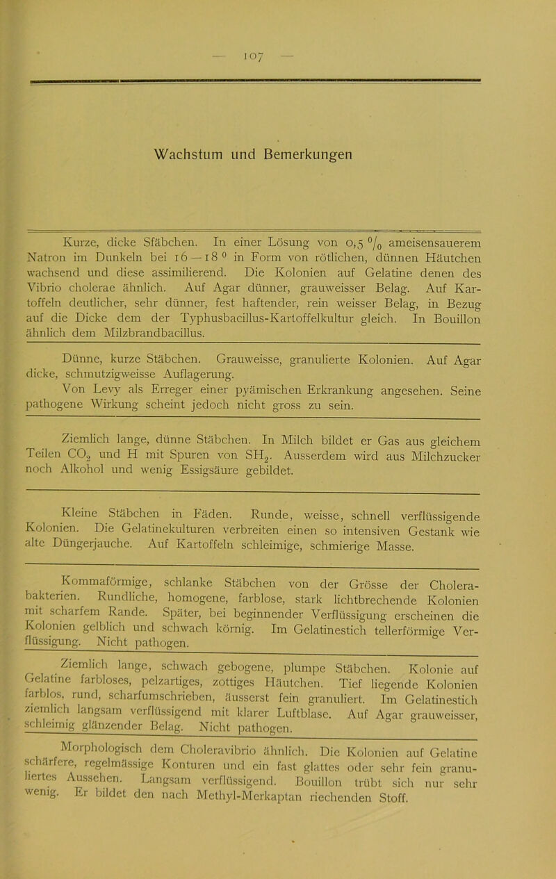 Kurze, dicke Sfäbchen. In einer Lösung von 0,5 am eisen sauerem Natron im Dunkeln bei 16 —18 ^ in Form von rötlichen, dünnen Häutchen wachsend und diese assimilierend. Die Kolonien auf Gelatine denen des Vibrio cholerae ähnlich. Auf Agar dünner, grauweisser Belag. Auf Kar- toffeln deutlicher, sehr dünner, fest haftender, rein weisser Belag, in Bezug auf die Dicke dem der Typhusbacillus-Kartoffelkultur gleich. In Bouillon ähnlich dem Milzbrandbacillus. Dünne, kurze Stäbchen. Grauweisse, granulierte Kolonien. Auf Agar dicke, schmutzigweisse Auflagenmg. Von Levy als Erreger einer pyämischen Erkrankung angesehen. Seine pathogene Wirkung scheint jedoch nicht gross zu sein. Ziemlich lange, dünne Stäbchen. In Milch bildet er Gas aus gleichem Teilen COj und H mit Spuren von SHg. Ausserdem wird aus Milchzucker noch Alkohol und wenig Es.sigsäure gebildet. Kleine Stäbchen in Fäden. Runde, weisse, schnell verflüssigende Kolonien. Die Gelatinekulturen verbreiten einen so intensiven Gestank wie alte Düngerjauche. Auf Kartoffeln schleimige, schmierige Masse. Kommaförmige, schlanke Stäbchen von der Grösse der Cholera- bakterien. Rundliche, homogene, farblose, stark lichtbrechende Kolonien mit scharfem Rande. Später, bei beginnender Verflüssigung erscheinen die Kolonien gelblich und schwach körnig. Im Gelatinestich tellerförmige Ver- fliissigung. Nicht pathogen. Ziemlich lange, schwach gebogene, plumpe Stäbchen. Kolonie auf Gelatine farbloses, pclzartiges, zottiges Häutchen. Tief liegende Kolonien farblos, rund, scharfumschrieben, äusserst fein granuliert. Im Gelatinestich ziemlich langsam verflüssigend mit klarer Luftblase. Auf Agar grauweisser, schleimig glänzender Belag. Nicht pathogen. Morphologisch dem Choleravibrio ähnlich. Die Kolonien auf Gelatine schärfere, regelmässige Konturen und ein fast glattes oder sehr fein granu- liertes Aussehen. Langsam verflüssigend. Bouillon trübt sich nur sehr wenig. Er bildet den nach Methyl-Mcrkaptan riechenden Stoff.