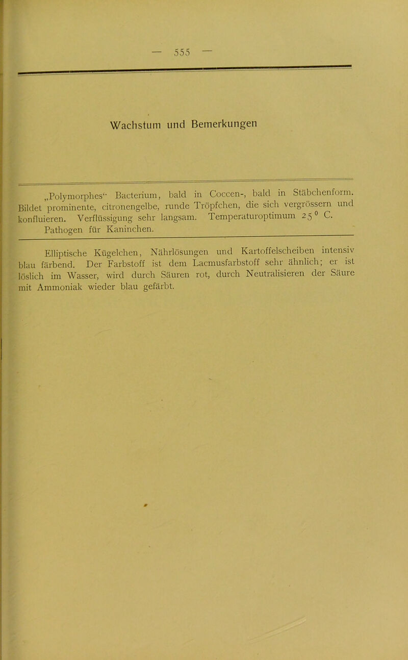 Wachstum und Bemerkungen „Polymorphes“' Bacterium, bald in Coccen-, bald in Stäbchenfoim. Bildet prominente, citronengelbe, runde Tröpfchen, die sich vergrössern und konfluieren. Verflüssigung sehr langsam. Temperaturoptimum 25® C. Pathogen für Kaninchen. Klliptische Kügelchen, Nährlösungen und Kartoffelscheiben intensiv blau färbend. Der Farbstoff ist dem Lacmusfarbstoff sehr ähnlich; er ist löslich im Wasser, wird durch Säuren rot, durch Neutralisieren der Säure mit Ammoniak wieder blau gefärbt.