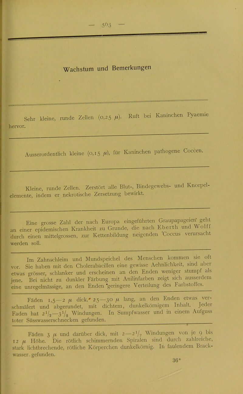 — — Wachstum und Bemerkungen Sehr kleine, runde Zellen (0,25 ,1.). Ruft bei Kaninchen Pyaemie hervor. Ausserordentlich kleine (o,i5 A für Kaninchen pathogene Coccen Kleine, runde Zellen. Zerstört alle Blut-, Bindegewebs- und Knorpel- elemente, indem er nekrotische Zersetzung bewirkt. Eine grosse Zahl der nach Europa eingeführten Graupapageien' geht an einer epidemischen Krankheit zu Grunde, die nach Eberth und Wolff durch einen mittelgrossen, zur Kettenbildung neigenden 'Goccus verursacht werden soll. Im Zahnschleim und Mundspeichel des Menschen kommen sie oft vor. Sie haben mit den Cholerabäcillen eine gewisse Aehnlichkeit, sind aber etwas grösser, schlanker und erscheinen an den Enden weniger stumpf als jene. Bei nicht zu dunkler Färbung mit Anilinfarben zeigt sich ausserdem eine unregelmässige, an den Enden ‘geringere Verteilung des Farbstoffes. Fäden 1,5 — 2 /.t dick.' 25—30 /i lang, an den Enden etwas ver- schmälert und abgerundet, mit dichtem, dunkelkürnigem Inhalt. Jcdei Faden hat 2V2—3V2 Windungen. In Sumpfwasser und in einem Aufguss toter Siisswasserschnccken gefunden. Fäden 3 fi und tlarüber dick, mit 2 — 2'/,. Windungen von je 9 bis 12 /( Höhe. Die rötlich .schimmernden Spiralen sind durch zahlreiche, stark lichtbrecheiide, rötliche Körperchen dunkclkörnig. In faulendem Buick- wasser. gefunden. 36*