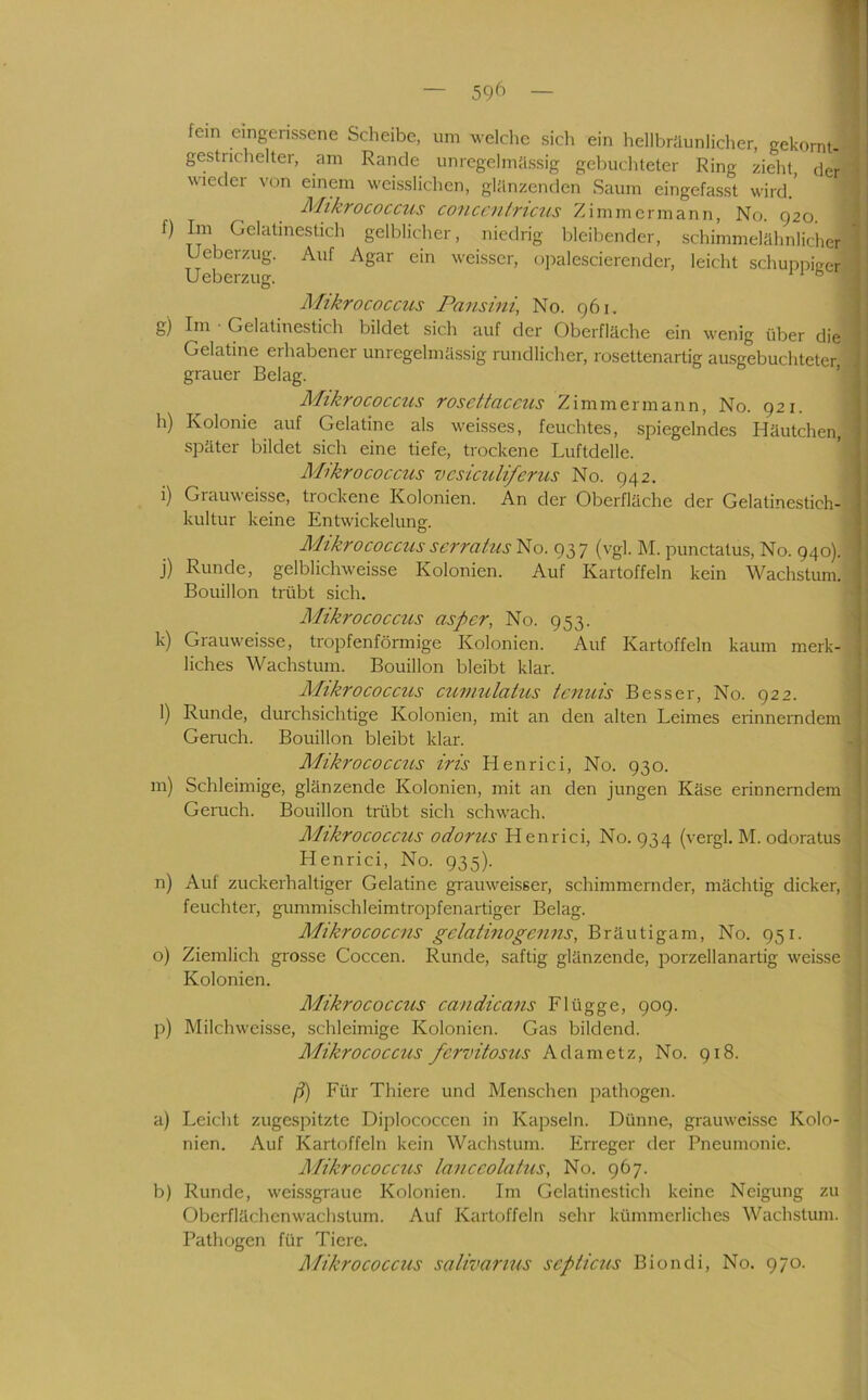 — 59^'^ — • 1 fein eingerissene Scheibe, um welclie sich ein hellbräunlicher, gekörnt- gestrichelter, am Rande unregelmässig gebuchteter Ring zieht der  wieder von einem weisslichen, glänzenden Saum eingefasst wird.’ Mikrococcus conccnlricus Zimmermann, No. 920. f) Im Gelatineslich gelblicher, niedrig bleibender, schimmelähnlicher ' Ueberzug. Auf Agar ein weisser, opalescierender, leicht schupnieer • Ueberzug. ^ Mikrococcus Pansini, No. g6i. g) Im Gelatinestich bildet sich auf der Oberfläche ein wenig über die Gelatine erhabener unregelmässig rundlicher, rosettenartig ausgebuchteter grauer Belag. ’ Mikrococcus rosettaccus Zimmermann, No. 921. ' h) Kolonie auf Gelatine als weisses, feuchtes, spiegelndes Häutchen, später bildet sich eine tiefe, trockene Luftdelle. Mikrococcus vcsiculiferus No. 942. i) Grauweisse, trockene Kolonien. An der Oberfläche der Gelatinestich- ; kultur keine Entwickelung. Mikrococcus serratus No. 93 7 (vgl. M. punctatus, No. 940). j) Runde, gelblichweisse Kolonien. Auf Kartoffeln kein Wachstum. Bouillon trübt sich. Mikrococcus asper, No. 953. k) Grauweisse, tropfenförmige Kolonien. Auf Kartoffeln kaum merk- liches Wachstum. Bouillon bleibt klar. Mikrococcus ctiinulahis temiis Besser, No. 922. l) Runde, durchsichtige Kolonien, mit an den alten Leimes erinnerndem Geruch. Bouillon bleibt klar. Afikrococcus iris Henrici, No. 930. m) Schleimige, glänzende Kolonien, mit an den jungen Käse erinnerndem | Geruch. Bouillon trübt sich schwach. ; Mikrococcus odorus Henrici, No. 934 (vergl. M. odoratus Henrici, No. 935). n) Auf zuckerhaltiger Gelatine grauweisser, schimmernder, mächtig dicker, feuchter, gummischleimtropfenartiger Belag. i Mikrococcus gelatinogcmis, Bräutigam, No. 951. o) Ziemlich grosse Coccen. Runde, saftig glänzende, porzellanartig weisse Kolonien. Mikrococcus candicans Flügge, 909. p) Milchweisse, schleimige Kolonien. Gas bildend. Mikrococcus fervitosus Adametz, No. 918. /?) Für Thiere und Menschen pathogen. a) Leicht zugespitzte Diplococcen in Kapseln. Dünne, grauweisse Kolo- nien. Auf Kartoffeln kein Wachstum. Erreger der Pneumonie. Mikrococcus lauccolatus, No. 967. b) Runde, weissgraue Kolonien. Im Gelatinestich keine Neigung zu Oberflächenwachstum. Auf Kartoffeln sehr kümmerliches Wachstum. Pathogen für Tiere. Mikrococcus salivarms sepiieus Biondi, No. 970.