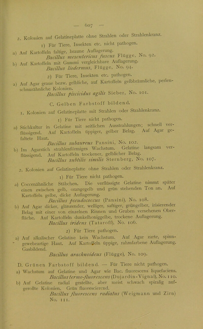 6o7 2. Kolonien auf Gclatincplaltc ohne Strahlen oder Strahlenkranz. ^>) i) Für Tiere, Insekten etc. nicht pathogen. Auf Kartoffeln faltige, braune Auflagerung. Bacillus uicsnilcricus fnsctts Flügge, No. 92. Auf Kartoffeln mit Gummi vergleichbare Auflagerung. Bacillus liodcrmus, Flügge, No. 94. 2) Für Tiere, Insekten etc. pathogen. :t) Auf Agar graue bezw. gelbliche, auf Kartoffeln gelbbräunliche, perlen- schnurähnliche Kolonien. Bacillus piscicidus agilis Sieber, No. 101. C. Gelben Farbstoff bildend. I. Kolonien auf Gelatineplatte mit Strahlen oder Strahlenkranz, i) Für Tiere nicht pathogen. a) Stichkultur in Gelatine mit seitlichen Ausstrahlungen; schnell ver- flüssigend. Auf Kartoffeln üppiger, gelber Belag. Auf Agar ge- faltete Haut. Bacilhis suhaureus Pansini, No. 102. b) Im Agarstich strahlenförmiges Wachstum. Gelatine langsam ver- flüssigend. Auf Kartoffeln trockener, gelblicher Belag. Bacillus subtilis similis Sternberg, No. 107. 2. Kolonien auf Gelatineplatte ohne Strahlen oder Strahlenkranz, i) Für Tiere nicht pathogen. a) Coccenähnliche Stäbchen. Die verflüssigte Gelatine nimmt später einen zwischen gelb, orangegelb und grün stehenden Ton an. Auf Kartoffeln gelbe, dicke Auflagerung. Bacillus pseudococcus (Pansini), No. 108. b) Auf Agar dicker, glänzender, welliger, saftiger, grüngelber, irisierender Belag mit einer von einzelnen Rinnen und Gruben versehenen Ober- fläche. Auf Kartoffeln dunkelhoniggelbe, trockene Auflagerung. Bacilhis iridcns (Tataroff), No. 106. 2) Für Tiere pathogen. a) Auf alkalischer Gelatine kein Wachstum. Auf Agar zarte, spinn- gewebeartige Flaut. Auf Kartoffeln üppige, rahmfarbene Auflageiung. Gasbildend. Bacillus arachnoidcus (Flügge), No. 109. D. Grünen Farbstoff bildend. — Für Tiere nicht pathogen. a) Wachstum auf Gelatine und Agar wie Bac. fluorescens licpiefaciens. Bacilhisteruio-ßiiorcsccns (Dujardin-Vignal), No. i 10. b) Auf Gelatine radial gestellte, aber meist schwach spiralig auf- gerollte K()lni\ien. Grün fluoresciercnd. Bacillus fluorcsccus radialus (Wcigmann und Zirn)