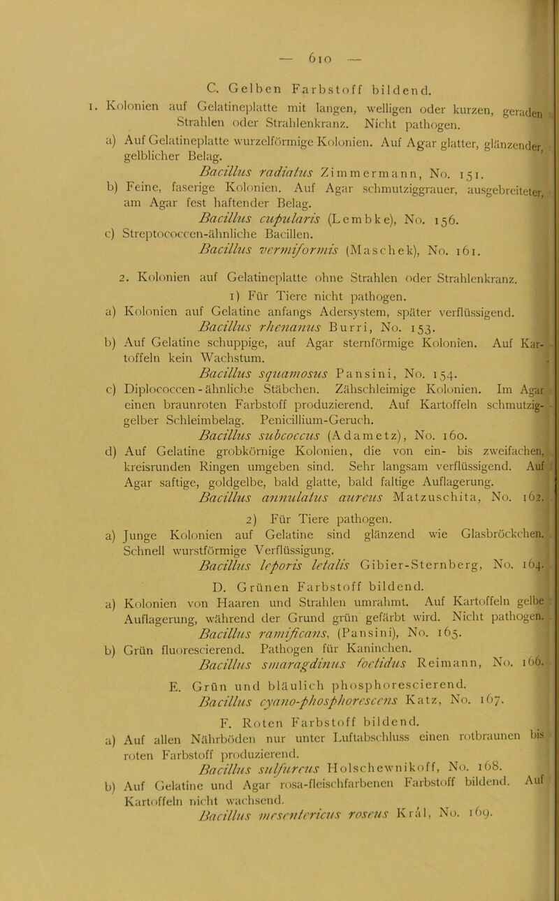 Kolonien auf Gelatineplatte mit langen, welligen oder kurzen, geraden Strahlen oder Strahlenkranz. Nicht pathogen. a) Auf Gelatineplatte wurzelförmige Kolonien. Auf Agar glatter, glänzender gelblicher Belag. Bacillus radialus Zimmermann, No. 151. b) Feine, faserige Kolonien. Auf Agar schmutziggrauer, ausgebreiteter, am Agar fest haftender Belag. Bacillus cupularis (Lcmbke), No. 156. c) Streptococcen-ähnliche Bacillen. Bacillus vcr7uiforniis (Maschek), No. 161. 2. Kolonien auf Gelatineplatte ohne Strahlen oder Strahlenkranz, i) Für Tiere nicht pathogen. a) Kolonien auf Gelatine anfangs Adersystem, später verflü.ssigend. Bacillus rhenanus Burri, No. 153. b) Auf Gelatine schuppige, auf Agar sternförmige Kolonien. Auf Kar- toffeln kein Wachstum. Bacillus squajuosus Pansini, No. 154. c) Diplococcen - ähnliche Stäbchen. Zähschleimige Kolonien. Im Agar einen braunroten Farbstoff produzierend. Auf Kartoffeln schmutzig- gelber Schleimbelag. Penicillium-Geruch. Bacillus suhcoccus (Adametz), No. 160. d) Auf Gelatine grobkörnige Kolonien, die von ein- bis zweifachen, kreisrunden Ringen umgeben sind. Sehr langsam verflüssigend. Auf Agar saftige, goldgelbe, bald glatte, bald faltige Auflagerung. Bacillus annulahis aureus Matzuschita, No. 162. 2) Für Tiere pathogen. a) Junge Kolonien auf Gelatine sind glänzend wie Gla.sbröckchen. Schnell wurstförmige Verflüssigung. Bacillus Icporis letalis Gibier-Sternberg, No. 164. D. Grünen Farbstoff bildend. a) Kolonien von Haaren und Strahlen umrahmt. Auf Kartoffeln gelbe Auflagerung, während der Grund grün gefärbt wird. Nicht pathogen. Bacillus ramificans, (Pansini), No. 165. b) Grün fluorescierend. Pathogen für Kaninchen. Bacillus sniaragdinus foctidus R ei mann, No. 166. E. Grün und bläulich phosphorescierend. Bacillus cyano-phospJwresccns Katz, No. 167. F. Roten Farbstoff bildend. a) Auf allen Nährböden nur unter Luftabschlass einen rotbraunen bis roten Farbstoff produzierend. Bacillus sulfureus Holschewnikoff, No. 168. b) Auf Gelatine und Agar ro.sa-fleischfarbcncn Farbstoff bildend. Auf Kartoffeln nicht wachsend. Bacillus uicsciilericus roseus Kräl, No. 169.