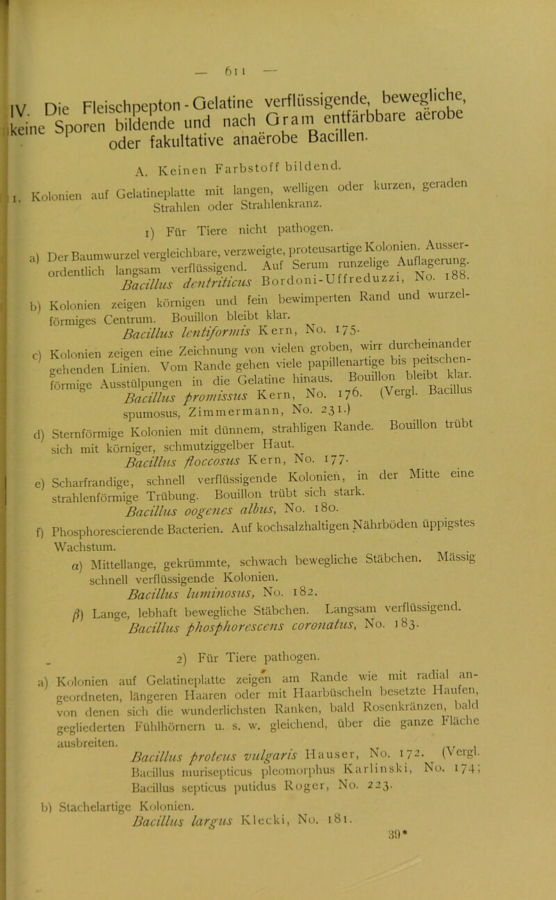 IV nie Fleischnepton - Gelatine verflüssigende, bewegliche, Idne^orentlSende und nach Gram entfärbbare aerobe oder fakultative anaerobe Bacillen. A Keinen Farbstoff bildend. , Kolomen .-mt GcUUnieplalle mit langen welligen oder kuraen, geraden Strahlen oder Strahlenkranz. i) Für Tiere nicht pathogen. 'd Der B'iurawurzel vergleichbare, verzweigte, proteusartige Kolonien. Ausser- “denS langsam” verflüssigend. A'^Sernm rnnaeli^e Antogernn . Bacillus dcntnticus Bordom-Uffreduzzi, i . b) Kolonien zeigen körnigen und fein bewimperten Rand und Wurzel- förmiges Centrum. Bouillon bleibt klai. Bacillus Icntiforviis Kern, No. 175. e) Kolonien zeigen eine Zeichnung von vielen groben, wirr gehenden Linien. Vom Rande gehen v,e e pap.llenart.ge P““ Lmige Ausstülpungen in die Gelatine hinaus. Bouillon b «bt Um Bacillus prowissus Kern, No. 176. (Veigl. Baci spumosus, Zimmermann, No. 231.) d) Sternförmige Kolonien mit dünnem, strahligen Rande. Bouillon trübt sich mit körniger, schmutziggelber Haut. Bacillus floccosus Kern, No. 177. e) Scharfrandige, schnell verflüssigende Kolonien, in der Mitte eine strahlenförmige Trübung. Bouillon trübt sich stark. Bacilhts oogenes albus, No. 180. f) Phosphorescierende Bacterien. Auf kochsalzhaltigen Nährböden üppigstes Wachstum. . a) Mittellange, gekrümmte, schwach bewegliche Stäbchen. Massig schnell verflüssigende Kolonien. Bacillus luminosus, No. 182. ß) Lange, lebhaft bewegliche Stäbchen. Langsam verflüssigend. Bacillus phosphorescens coronatus, No. 183. 2) Für Tiere pathogen. a) Kolonien auf Gelatineplattc zeigen am Rande wie mit radial an- geordneten, längeren Haaren oder mit Haarbüscheln besetzAe Haufen, von denen sich die wunderlichsten Ranken, bald Rosenkränzen,^ ba c gegliederten Fülilhörnern u. s. w. gleichend, über die ganze Fläche ausbreiten. nr - 1 Bacillus protcus vulgaris Hauser, No. 172. (Vergl. Bacillus muriscpticus pleomorphus Karlinski, No. I74. Bacillus seiiticus putidus Roger, No. 223. bl Stachelartigc Kolonien. Bacillus largus Kl eck i, No. i8i. 3!)*