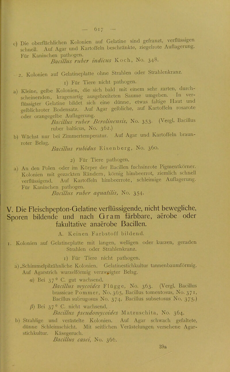 c) Die oberflJichlichcn Kolonien anf Gelatine sind gefranzt, verflüssigen sdmell. Auf Agar und Kartoffeln beschrankte, ziegelrote Auflagerung. Für Kaninchen pathogen. Bacillus ruber indiciis Koch, No. 348. 2. Kolonien auf Gelatineplattc ohne Strahlen oder Strahlenkranz, i) Für Tiere nicht pathogen. a) Kleine, gelbe Kolonien, die sich bald mit einem sehr zarten, durch- scheinenden, kragenartig ausgebreiteten Saume umgeben. In ver- flüssigter Gelatine bildet sich eine dünne, etwas faltige Haut und gelblichroter Bodensatz. Auf Agar gelbliche, auf Kartoffeln rosarote oder orangegelbe Auflagerung. Bacillus ruber Berolinensis, No. 353. (Vergl. Bacillus ruber balticus, No. 362.) b) Wächst nur bei Zimmertemperatur. Auf Agar und Kartoffeln braun- roter Belag. Bacillus rubidus Eisenberg, No. 360. 2) Für Tiere pathogen. a) An den Polen oder im Körper der Bacillen fuchsinrote Pigmentköinei. Kolonien mit gezackten Rändern, körnig himbeerrot, ziemlich schnell verflüssigend. Auf Kartoffeln himbeerrote, schleimige Auflagerung. Für Kaninchen pathogen. Bacillus ruber aquatilis, No. 354. V. Die Fleischpepton-Gelatine verflüssigende, nicht bewegliche, Sporen bildende und nach Gram färbbare, aerobe oder fakultative anaerobe Bacillen. A. Keinen Farbstoff bildend. I. Kolonien auf Gelatineplatte mit langen, welligen oder kurzen, geraden Strahlen oder Strahlenkranz. 1) Für Tiere nicht pathogen. a) .Schimmelpilzähnliche Kolonien. Gelatinestichkultur tannenbaumförmig. Auf Agarstrich wurzelförmig verzweigter Belag. (i) Bei 37° G. gut wachsend. Bacillus rnycoides Flügge, No. 363. (Vergl. Bacillus bra.ssicae Pommer, No. 365, Bacillus tomenüDSUs, No. 37 E Bacillus subrugosus No. 374, Bacillus subsetosus No. 375.) ß) Bei 37“ C. nicht wachsend. Bacillus pseudomycoides Matzuschita, No. 364. b) Strahlige und verä.steltc Kolonien. Auf Agar schwach gefaltete, dünne Schleimschicht. Mit seitlichen Verästelungen versehene Agar- stichkultur. K äsegerucl 1. Bacillus casei, No. 366. 39a