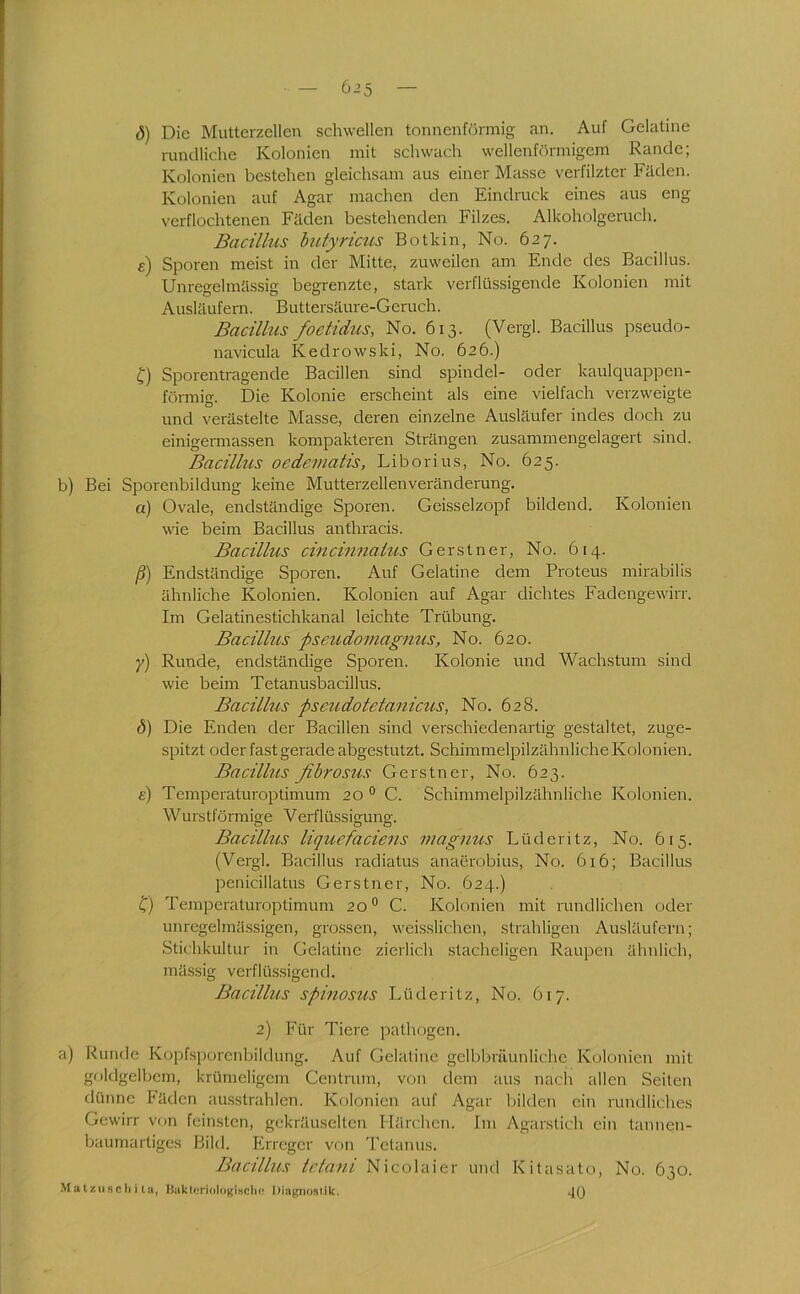 6^5 ö) Die Mutterzellen schwellen tonncnförmig an. Auf Gelatine rundliche Kolonien mit schwach wellenh'hmigem Rande; Kolonien bestehen gleichsam aus einer Masse verfilzter Fäden. Kolonien auf Agar machen den Eindruck eines aus eng verflochtenen Fäden bestehenden Filzes. Alkoholgeruch. Bacühis butyricus Botkin, No. 627. e) Sporen meist in der Mitte, zuweilen am Ende des Bacillus. Unregelmässig begrenzte, stark verflüssigende Kolonien mit Ausläufern. Buttersäure-Geruch. Bacillus foetidus, No. 613. (Vergl. Bacillus pseudo- navicula Kedrowski, No. 626.) f) Sporentragende Bacillen sind Spindel- oder kaulquappen- fömhg. Die Kolonie erscheint als eine vielfach verzweigte und verästelte Masse, deren einzelne Ausläufer indes doch zu einigermassen kompakteren Strängen zusammengelagert sind. Bacillus oedematis, Liborius, No. 625. b) Bei Sporenbildung kerne Mutterzellenveränderung. a) Ovale, endständige Sporen. Geisselzopf bildend. Kolonien wie beim Bacillus anthracis. Bacillus cincinnaius Gerstner, No. 614. ß) Endständige Sporen. Auf Gelatine dem Proteus mirabilis ähnliche Kolonien. Kolonien auf Agar dichtes Fadengewirr. Im Gelatinestichkanal leichte Trübung. Bacillus pseicdomagnus, No. 620. y) Runde, endständige Sporen. Kolonie und Wachstum sind wie beim Tetanusbacillus. Bacillus pseudotetaniciis, No. 628. Die Enden der Bacillen sind verschiedenartig gestaltet, zuge- spitzt oder fast gerade abgestutzt. Schimmelpilzähnliche Kolonien. Bacillus fibrosus Gerstner, No. 623. e) Temperaturoptimum 20 ° C. Schimmelpilzähnliche Kolonien. Wurstförmige Verflüssigung. Bacilhcs liquefacieiis magnus Lüderitz, No. 615. (Vergl. Bacillus radiatus anaerobius, No. 616; Bacillus penicillatus Gerstner, No. 624.) C) Temperaturoptimum 20° C. Kolonien mit rundlichen oder unregelmässigen, grossen, weisslichen, strahligen Ausläufern; Stichkultur in Gelatine zierlich stacheligen Raupen ähnlich, mässig verflüssigend. Bacillus spinosus Lüderitz, No. 617. 2) Für Tiere pathogen. a) Runde Kopfsi)orenbildung. Auf Gelatine gclbbrüunliche Kolonien mit goldgelbem, krümeligem Centriun, von dem aus nach allen Seilen dünne häden au.sstrahlen. Kolonien auf Agar bilden ein rundliches Gewirr von feinsten, gekräuselten Härchen. Im Agarstich ein tannen- baumartiges Bild. Erreger von Tetanus. Bacillus tetaui Nicolaier und Kitasato, No. 630.