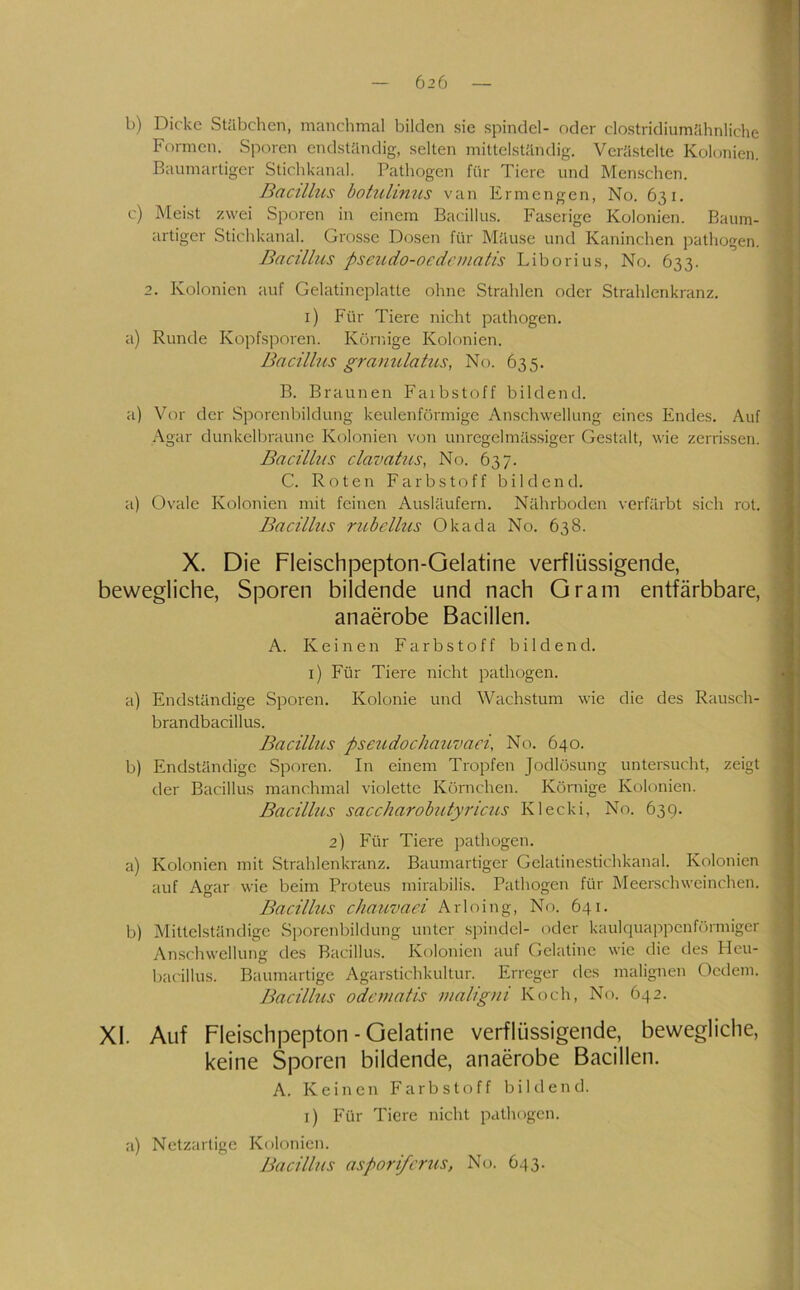 b) Dicke Stäbchen, manclimal bilden sie Spindel- oder clostridiumähnliche Formen. Sporen endständig, selten mittelständig. Verästelte Kolojiien. Baumartiger Stichkanal. Pathogen für Tiere und Men.schen. Bacillus botuhnus van Ermengen, No. 631. c) Meist zwei Sporen in einem Bacillus. Faserige Kolonien. Baum- artiger Stichkanal. Grosse Dosen für Mäuse und Kaninchen pathogen. Bacillus pscudo-ocdciuatis Liborius, No. 633. 2. Kolonien auf Gelatineplatte ohne Strahlen oder Strahlenkranz, i) Für Tiere nicht pathogen, a) Runde Kopfsporen. Körnige Kolonien. Bacillus granulatus, No. 635. B. Braunen Faibstoff bildend. a) Vor der Sporenbildung keulenförmige Anschwellung eines Endes. Auf •\gar dunkelbraune Kolonien voti unregelmässiger Gestalt, wie zerrissen. Bacillus clazialus, No. 637. C. Roten Farbstoff bildend. a) Ovale Kolonien mit feinen Ausläufern. Nährboden verfärbt sich rot. Bacillus rubellus Oka da No. 638. X. Die Fleischpepton-Gelatine verflüssigende, bewegliche, Sporen bildende und nach Gram entfärbbare, anaerobe Bacillen. A. Keinen Farbstoff bildend, i) Für Tiere nicht pathogen. a) Endständige Sporen. Kolonie und Wachstum wie die des Rausch- brandbacillus. Bacillus pseudochauvaci, No. 640. b) Endständige Sporen. In einem Tropfen Jodlösung untersucht, zeigt der Bacillus manchmal violette Körnchen. Körnige Kolonien. Bacillus saccharobutyricus Klecki, No. 63g. 2) Für Tiere pathogen. a) Kolonien mit Strahlenkranz. Baumartiger Gelatinestichkanal. Kolonien auf Agar wie beim Proteus mirabilis. Pathogen für Meerschweinchen. Bacillus chauvaci Arloing, No. 641. b) Mittelständige Sporenbildung unter spindel- oder kaulquappenförmiger Anschwellung des Bacillus. Kolonien auf Gelatine wie die des Heu- bacillus. Baumartige Agarstichkultur. Erreger des malignen Oedem. Bacillus odematis maligni Koch, No. 642. XI. Auf Fleischpepton - Gelatine verflüssigende, bewegliche, keine Sporen bildende, anaerobe Bacillen. A. Keinen Farbstoff bildend, i) Für Tiere nicht pathogen. a) Netzartige Kolonien. Bacillus asporiferus, No. 643.