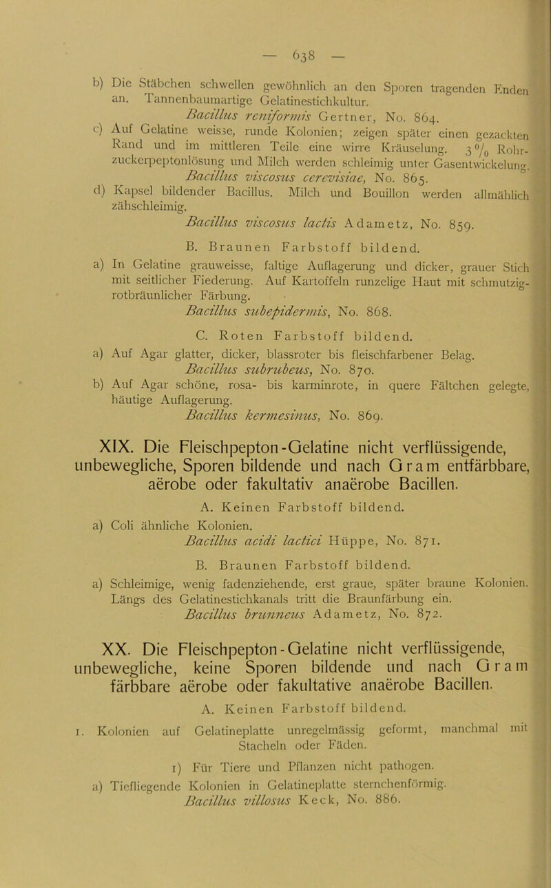 b) Die Stäbchen schwellen gewöhnlich an den Sporen tragenden Enden an. 1 annenbauinartige Gelatinestichkultur. Bacillus reniforwis Gertner, No. 864. c) Auf Gelatine weisse, runde Kolonien; zeigen später einen gezackten Rand und im mittleren Teile eine wirre Kräuselung. Rohr- > zuckerpeptonlüsung und Milch werden schleimig unter Gasentwickelung. ! Bacillus viscosus ccrevisiae, No. 865. d) Kapsel bildender Bacillus. Milch und Bouillon werden allmählich ' I zähschleimig. Bacillus viscosus lactis Adametz, No. 859. ■ B. Braunen Farbstoff bildend, a) In Gelatine grauweisse, faltige Auflagerung und dicker, grauer Stich . mit seitlicher Fiederung. Auf Kartoffeln runzelige Haut mit schmutzig- rotbräunlicher Färbung. ' Bacillus subepidermis, No. 868. C. Roten Farbstoff bildend. a) Auf Agar glatter, dicker, blassroter bis fleischfarbener Belag. Bacillus subrubeus, No. 870. b) Auf Agar schöne, rosa- bis karminrote, in quere Fältchen gelegte, häutige Auflagerung. Bacillus kermesinus, No. 869. XIX. Die Fleischpepton-Gelatine nicht verflüssigende, unbewegliche, Sporen bildende und nach Gram entfärbbare, ; aerobe oder fakultativ anaerobe Bacillen. A. Keinen Farbstoff bildend, a) Coli ähnliche Kolonien. Bacillus acidi lactici Hüppe, No. 871. B. Braunen Farbstoff bildend. a) Schleimige, wenig fadenziehende, erst graue, später braune Kolonien. Längs des Gelatinestichkanals tritt die Braunfärbung ein. Bacillus brunneus Adametz, No. 872. XX. Die Fleischpepton-Gelatine nicht verflüssigende, j unbewegliche, keine Sporen bildende und nach Gram färbbare aerobe oder fakultative anaerobe Bacillen. A. Keinen Farbstoff bildend. ! I. Kolonien auf Gelatineplatte unregelmässig geformt, manchmal mit j Stacheln oder Fäden. I i) Für Tiere und Pflanzen nicht pathogen, a) Tiefliegende Kolonien in Gelatineplatte sternchenffirmig. Bacillus villosus Keck, No. 886.