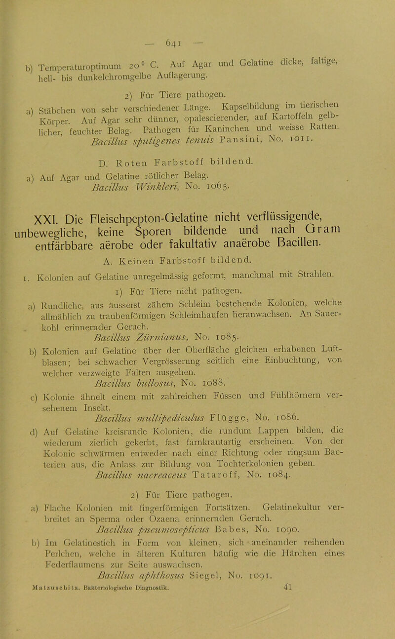 b) Temperaturoptimum 20° C. Auf Agar und Gelatine dicke, faltige, hell- bis dunkelchromgelbc Auflagerung. 2) Für Tiere pathogen. a) Stäbchen von sehr verschiedener Länge. Kapselbildung im tierischen Körper. Auf Agar sehr dünner, opalesciercnder, auf Kartoffeln gelJ- licher, feuchter Belag. Pathogen für Kaninchen und weisse Ratten. Bacillus sputigenes temiis P a n s i n i, No. i o 11. D. Roten Farbstoff bildend. a) Auf Agar und Gelatine rötlicher Belag. Bacillus Winklcri, No. 1065. XXI. Die Fleischpepton-Gelatine nicht verflüssigende, unbewegliche, keine Sporen bildende und nach Gram entfärbbare aerobe oder fakultativ anaerobe Bacillen. A. Keinen Farbstoff bildend. I. Kolonien auf Gelatine unregelmässig geformt, manchmal mit Strahlen, i) Für Tiere nicht pathogen. a) Rundliche, aus äusserst zähem Schleim bestehende Kolonien, welche allmrihlich zu traubenförmigen Schleimhaufen heranwachsen. An Sauer- kohl erinnernder Geruch. Bacillus Zürnianus, No. 1085. b) Kolonien auf Gelatine über der Oberfläche gleichen erhabenen Luft- blasen; bei schwacher Vergrösserung seitlich eine Einbuchtung, von welcher verzweigte Falten ausgehen. Bacillus bullosus, No. 1088. c) Kolonie ähnelt einem mit zahlreichen Füssen und Fühlhörnern ver- sehenem Insekt. Bacillus multipcdiculus Flügge, No. 1086. d) Auf Gelatine kreisrunde Kolonien, die rundum Lappen bilden, die wiederum zierlich gekerbt, fast famkrautartig erscheinen. Von der Kolonie schwärmen entweder nach einer Richtung oder ringsum Bac- terien aus, die Anlass zur Bildung von Tochterkolonien geben. Bacillus nacreaceU'S Tatar off, No. 1084. 2) Für Tiere pathogen. a) Flache Kolonien mit fingerffirmigen Fortsätzen. Gelatinekultur ver- breitet an Sperma oder Ozaena erinnernden Geruch. Bacillus pucumoscpticus Babes, No. 1090. b) Tm Gelatincstich in Form von kleinen, sich aneinander reihenden Perlchcn, welche in älteren Kulturen häufig wie die Härchen eines Federflaumens zur Seite auswachsen. Bacillus aphthosus Siegel, No. 1091.