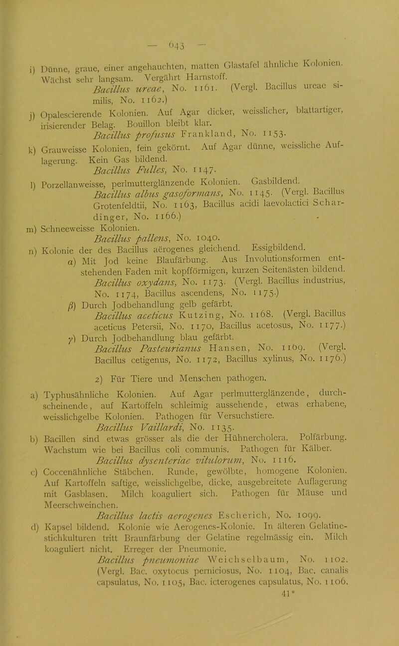 i) j) !<) 1) m) n) Dünne, graue, einer angehauchten, matten Glastafcl ähnliche Kolonien. Wtlchst sehr langsam. Vergährt Harnstoff. Bacillus nreae, No. ii6i. (Vcrgl. Bacillus uieac si- milis, No. 1162.) Opalesciercnde Kolonien. Auf Agar dicker, vvcisslicher, blattartigei, irisierender Belag. Bouillon bleibt klar. Bacillus profiisus Frankl and, No. 1153. Grauweissc Kolonien, fein gekörnt. Auf Agar dünne, weissliche Auf- lagerung. Kein Gas bildend. Bacillus Falles, No. 1147- Porzellanweisse, perlmutterglänzende Kolonien. Gasbildend. Bacillus albus gasoformans, No. 1145. (Vergl. Bacillus Grotenfeldtii, No. 11^3, Bacillus acidi laevolactici Schar- dinger, No. 1166.) Schneeweisse Kolonien. Bacilhis pallens, No. 1040. Kolonie der des Bacillus aerogenes gleichend. Essigbildend. a) Mit Jod keine Blaufärbung. Aus Involutionsformen ent- stehenden Faden mit kopfförmigen, kurzen Seitenästen bildend. Bacillus oxydans, No. 1173. (Vergl. Bacillus industrius, No. 1174, Bacillus ascendens, No. 1175.) /?) Durch Jodbehandlung gelb gefärbt. Bacillus aceticus Kutzing, No. 1168. (Vergl. Bacillus aceticus Petersii, No. 1170, Bacillus acetosus, No. 1177.) Durch Jodbehandlung blau gefärbt. Bacilhis Pasteurianus Hansen, No. 11Ö9. (Vergl. Bacillus cetigenus, No. 1172, Bacillus xylinus, No. 1176.) 2) Für Tiere und Menschen pathogen. a) Typhusähnliche Kolonien. Auf Agar perhnutterglänzende, durch- scheinende, auf Kartoffeln schleimig aussehende, etwas erhabene, weisslichgelbe Kolonien. Pathogen für Versuchstiere. Bacillus Vaillardi, No. 1135. b) Bacillen sind etwas grösser als die der Hühnercholera. Polfärbung. Wachstum wie bei Bacillus coli communis. Pathogen für Kälber. Bacillus dyscnteriac vitulorum, No. 1116. c) Coccenähnliche Stäbchen. Runde, gewölbte, homogene Kolonien. Auf Kartoffeln saftige, weisslichgelbe, dicke, ausgebreitete Auflagerung mit Gasblasen. Milch koaguliert sich. Pathogen für Mäuse und M eerschweinchen. Bacillus lactis aerogenes Escherich, No. 1099. d) Kapsel bildend. Kolonie wie Aenjgenes-Kolonie. In älteren Gelatine- stichkulturen tritt Braunfärlnmg der Gelatine regelmässig ein. Milch koaguliert nicht. Erreger der Pneumonie. Bacillus pneumoniae Weich sei bäum. Nt). 1102. (Vergl. Bac. oxytocus perniciosus, No. 1104, Bac. canalis capsulatus, No. 1105, Bac. icterogenes capsulatus, No. 1 106. 41*