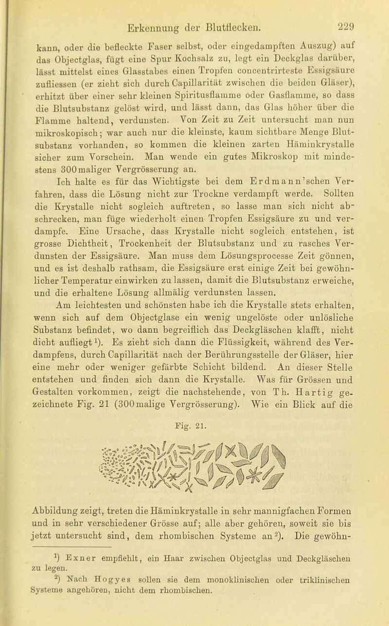 kann, oder die befleckte Faser selbst, oder eingedampften Auszug) auf das Objectglas, fügt eine Spur Kochsalz zu, legt ein Deckglas darüber, lässt mittelst eines Glasstabes einen Tropfen concentrirteste Essigsäure zufliessen (er zieht sich durch Capillarität zwischen die beiden Gläser), erhitzt über einer sehr kleinen Spiritusflamme oder Gasflamme, so dass die Blutsubstanz gelöst wird, und lässt dann, das Glas höher über die Flamme haltend, verdunsten. Von Zeit zu Zeit untersucht man nun miki’oskopisch; war auch nur die kleinste, kaum sichtbare Menge Blut- substanz vorhanden, so kommen die kleinen zarten Hämiiikrystalle sicher zum Vorschein. Man wende ein gutes Mikroskop mit minde- stens 300 maliger Vergrösserung an. Ich halte es für das Wichtigste bei dem Erdmann’schen Ver- fahren, dass die Lösung nicht zur Trockne verdampft werde. Sollten die Krystalle nicht sogleich auftreten, so lasse man sich nicht ab schrecken, man füge wiederholt einen Tropfen Essigsäure zu und ver- dampfe. Eine Ursache, dass Krystalle nicht sogleich entstehen, ist grosse Dichtheit, Trockenheit der Blutsubstanz und zu rasches Ver- dunsten der Essigsäure. Man muss dem Lösungsprocesse Zeit gönnen, und es ist deshalb rathsam, die Essigsäure erst einige Zeit bei gewöhn- licher Temperatur einwirken zu lassen, damit die Blutsubstanz erweiche, und die erhaltene Lösung allmälig verdunsten lassen. Am leichtesten und schönsten habe ich die Krystalle stets erhalten, wenn sich auf dem Objectglase ein wenig ungelöste oder unlösliche Substanz befindet, wo dann begreiflich das Deckgläschen klafit, nicht dicht aufliegt 1). Es zieht sich dann die Flüssigkeit, während des Ver- dampfens, durch Capillarität nach der Berührungsstelle der Gläser, hier eine mehr oder weniger gefärbte Schicht bildend. An dieser Stelle entstehen und finden sich dann die Krystalle. Was für Grössen und Gestalten Vorkommen, zeigt die nachstehende, von Th. Hartig ge- zeichnete Fig. 21 (300 malige Vergrösserung). Wie ein Blick auf die Fig. 21. Abbildung zeigt, treten die Häminkrystalle in sehr mannigfachen Formen und in sehr verschiedener Grösse auf; alle aber gehören, soweit sie bis jetzt untersucht sind, dem rhombischen Systeme an^). Die gewöhn- ^) Exner empfiehlt, ein Haar zwischen Objectglas und Deckgläscheu zu legen. ^) Nach Hogyes sollen sie dem monoklinischen oder trildinischen Systeme angehören, nicht dem rhombischen.