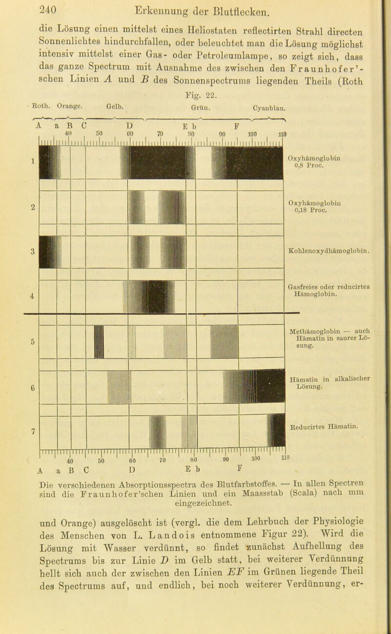 die Lösung einen mittelst eines Heliostaten reflectirten Strahl directen Sonnenlichtes hindurchfallen, oder beleuchtet man die Lösung möglichst intensiv mittelst einer Gas- oder Petroleumlampe, so zeigt sich, dass das ganze Spectrum mit Ausnahme des zwischen den Fraunhofer’- schen Linien A und B des Sonnenspectrums liegenden Theils (Roth Fig. 22. Roth. Orange. Gelb. Grün. Cyaiiblau. a B C U 40 .50 60 1111111111111111111II I mri INI nTT I I i 111111111111 ■ I rmr ~ ij^jl' Ulli i i i . Oxyhämoglobin 0,8 Proc. Oxyhämoglobin 0,18 Proe. Kohlenoxydhämoglobin. Gasfreies oder reducirtes Hämoglobin. Methämoglobin — auch Hämatin in saurer Lö- sung. Hämatin in alkaliseher Lösung. Reducirtes Hämatin. 100 110 ii|iiii|iTir 40 ' 50 ' 60 ' 70 ' 80 90 AaBC D Et F Die verschiedenen Absorptionsspectra des Blutfarbstoffes. — In allen Spectren ^ Ljl .1.1 A-\ T »11 11 v-i vt TVT O O QU f R Q. I TI ITT TU Die verscmedenen Absorptionsspectra des J^iuttarostones. — in aueu sind die Fraiinhofer’scben Linien und ein Maassstab (Scala) nach mm eingezeicbnet. und Orange) ausgelöscht ist (vergl. die dem Lehrbuch der Physiologie des Menschen von L. Landois entnommene Figur 22). Wird die Lösung mit Wasser verdünnt, so findet 'zunächst Aufhellung des Spectrums bis zur Linie D im Gelb statt, bei weiterer Verdünnung hellt sich auch der zwischen den Linien EF im Grünen liegende Theil des Spectrums auf, und endlich, bei noch weiterer Verdünnung, er-