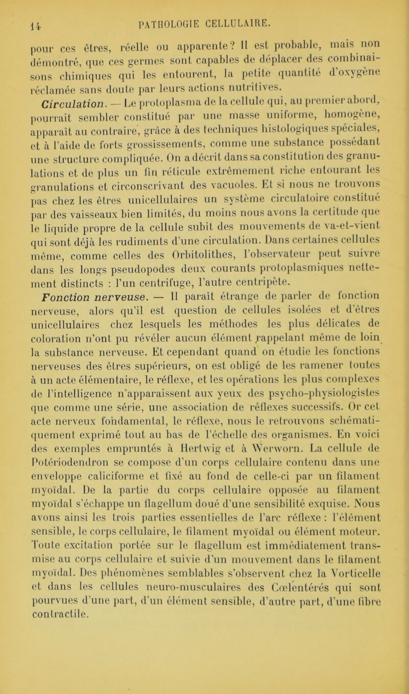 pour ces êtres, réelle ou apparente? Il est probable, mais non démontré, que ces germes sont capables de déplacer des combinai- sons chimiques qui les entourent, la petite quantité d’oxygène réclamée sans doute par leurs actions nutritives. Circulation. — Le protoplasma de lacellule qui, au premier abord, pourrait sembler constitué par une masse uniforme, homogène, apparaît au contraire', grâce à des techniques histologiques spéciales, et à l’aide de forts grossissements, comme une substance possédant une structure compliquée. On a décrit dans sa constitution des granu- lations et de plus un fin réticule extrêmement riche entourant les granulations et circonscrivant des vacuoles. Et si nous ne trouvons pas chez les êtres unicellulaires un système circulatoire constitué par des vaisseaux bien limités, du moins nous avons la certitude que le liquide propre de la cellule subit des mouvements de va-et-vient qui sont déjà les rudiments d’une circulation. Dans certaines cellules même, comme celles des Orbitolithes, l’observateur peut suivre dans les longs pseudopodes deux courants protoplasmiques nette- ment distincts : l’un centrifuge, l’autre centripète. Fonction nerveuse. — Il paraît étrange de parler de fonction nerveuse, alors qu’il est question de cellules isolées et d’êtres unicellulaires chez lesquels les méthodes les plus délicates de coloration n’ont pu révéler aucun élément rappelant même de loin la substance nerveuse. Et cependant quand on étudie les fonctions nerveuses des êtres supérieurs, on est obligé de les ramener toutes à un acte élémentaire, le réflexe, et les opérations les plus complexes de l’intelligence n’apparaissent aux yeux des psycho-physiologistes que comme une série, une association de réflexes successifs. Or cet acte nerveux fondamental, le réflexe, nous le retrouvons schémati- quement exprimé tout au bas de l’échelle des organismes. En voici des exemples empruntés à Hertvvig et à Werworn. La cellule de Potériodendron se compose d’un corps cellulaire contenu dans une enveloppe caliciforme et fixé au fond de celle-ci par un filament myoïdal. De la partie du corps cellulaire opposée au filament myoïdal s’échappe un flagellum doué d’une sensibilité exquise. Nous avons ainsi les trois parties essentielles de l’arc réflexe : l’élément sensible, le corps cellulaire, le filament myoïdal ou élément moteur. Toute excitation portée sur le flagellum est immédiatement trans- mise au corps cellulaire et suivie d’un mouvement dans le filament myoïdal. Des phénomènes semblables s’observent chez la Vorticelle et dans les cellules neuro-musculaires des Cœlentérés qui sont pourvues d’une part, d’un élément sensible, d’autre part, d’une fibre contractile.