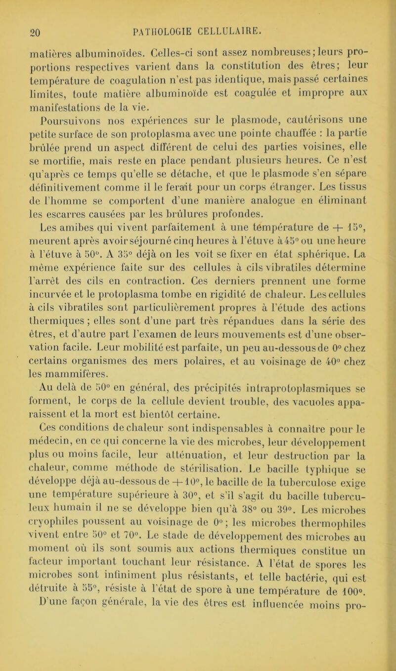 matières albuminoïdes. Celles-ci sont assez nombreuses;leurs pro- portions respectives varient dans la constitution des êtres; leur température de coagulation n’est pas identique, mais passé certaines limites, toute matière albuminoïde est coagulée et impropre aux manifestations de la vie. Poursuivons nos expériences sur le plasmode, cautérisons une petite surface de son protoplasma avec une pointe chauffée : la partie brûlée prend un aspect différent de celui des parties voisines, elle se mortifie, mais reste en place pendant plusieurs heures. Ce n’est qu’après ce temps qu’elle se détache, et que le plasmode s’en sépare définitivement comme il le ferait pour un corps étranger. Les tissus de l’homme se comportent d’une manière analogue en éliminant les escarres causées par les brûlures profondes. Les amibes qui vivent parfaitement à une température de + 15°, meurent après avoir séjourné cinq heures à l’étuve à 45° ou une heure à l’étuve à 50°. A 313° déjà on les voit se fixer en état sphérique. La même expérience faite sur des cellules à cils vibraliles détermine l’arrêt des cils en contraction. Ces derniers prennent une forme incurvée et le protoplasma tombe en rigidité de chaleur. Les cellules à cils vibratiles sont particulièrement propres à l’étude des actions thermiques ; elles sont d’une part très répandues dans la série des êtres, et d’autre part l’examen de leurs mouvements est d’une obser- vation facile. Leur mobilité est parfaite, un peu au-dessous de 0°chez certains organismes des mers polaires, et au voisinage de 40° chez les mammifères. Au delà de 50° en général, des précipités intraprotoplasmiques se forment, le corps de la cellule devient trouble, des vacuoles appa- raissent et la mort est bientôt certaine. Ces conditions de chaleur sont indispensables à connaître pour le médecin, en ce qui concerne la vie des microbes, leur développement plus ou moins lacile, leur atténuation, et leur destruction par la chaleur, comme méthode de stérilisation. Le bacille typhique se développe déjà au-dessous de -f-10°, le bacille de la tuberculose exige une température supérieure à 30°, et s’il s’agit du bacille tubercu- leux humain il ne se développe bien qu’à 38° ou 39°. Les microbes cryophiles poussent au voisinage de 0°; les microbes thermophiles vivent entre 50° et 70°. Le stade de développement des microbes au moment où ils sont soumis aux actions thermiques constitue un iacteui impoi tant touchant leur résistance. A l’état de spores les microbes sont infiniment plus résistants, et telle bactérie, qui est détruite à 35°, résiste à l'état de spore à une température de 100°. I) une la<on generale, la vie des êtres est influencée moins pro-