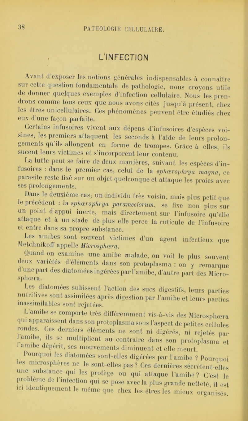 L’INFECTION Avanl d’exposer les notions générales indispensables à connaître sur cette question fondamentale de pathologie, nous croyons utile de donner quelques exemples d’infection cellulaire. Nous les pren- drons comme tous ceux que nous avons cités jusqu’à présent, chez les êtres unicellulaires. Ces phénomènes peuvent être étudiés chez eux d’une façon parfaite. Certains infusoires vivent aux dépens d’infusoires d’espèces voi- sines, les premiers attaquent les seconds à l’aide de leurs prolon- gements qu’ils allongent en forme de trompes. Grâce à elles, ils sucent leurs victimes et s’incorporent leur contenu. La lutte peut se faire de deux manières, suivant les espèces d'in- fusoires : dans le premier cas, celui de la sphœrophrya magna, ce paiasite reste fixé sur un objet quelconque et attaque les proies avec ses prolongements. Dans le deuxième cas, un individu très voisin, mais plus petit que le précédent : la sphœrophrya parameciorum, se fixe non plus sur un point d’appui inerte, mais directement sur l’infusoire qu'elle attaque et à un stade de plus elle perce la cuticule de l’infusoire et entre dans sa propre substance. Les amibes sont souvent victimes d’un agent infectieux que JMeichiiikoff appelle Micvosphovra. Quand on examine une amibe malade, on voit le plus souvent deux variétés d’éléments dans son protoplasma : on y remarque d une part des diatomées ingérées par l’amibe, d'autre part des Micro- sphœra. Les diatomées subissent l’action des sucs digestifs, leurs parties nutritives sont assimilées après digestion par l’amibe et leurs parties inassimilables sont rejetées. L amibe se comporte très différemment vis-à-vis des Microsphœra qui apparaissent dans son protoplasma sous l’aspect de petites cellules rondes. Ces derniers éléments ne sont ni digérés, ni rejetés par amibe, ils se multiplient au contraire dans son protoplasma et amibe dépérit, ses mouvements diminuent et elle meurt. Pourquoi les diatomées sont-elles digérées par l’amibe ? Pourquoi ( s nuuosphères ne le sont-elles pas ? Ces dernières sécrètent-elles une substance qui les protège ou qui attaque l’amibe ? C’est le problème de 1 infection qui se pose avec la plus grande netteté il est ici identiquement le même que chez les êtres les mieux organisés