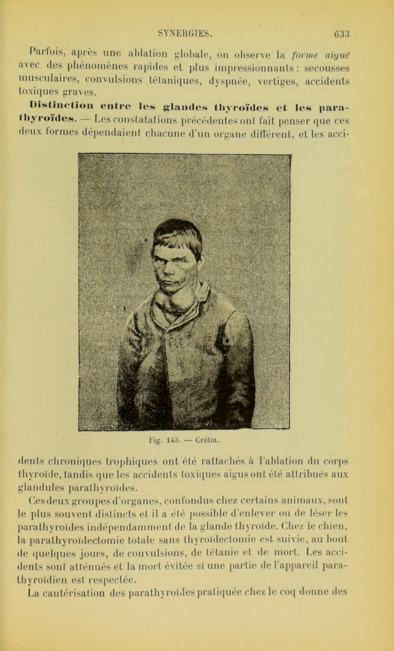 Parfois, après une ablation globale, on observe la forme aiyuC avec des phénomènes rapides et plus impressionnants: secousses musculaires, convulsions tétaniques, dyspnée, vertiges, accidents toxiques graves. Distinction entre les «landes thyroïdes et les para- thyroïdes. Les constatations précédentes onl fait penser que ces deux lormes dépendaient chacune d’un organe différent, et les acci- Fig. 143. — Crétin. dents chroniques trophiques ont été rattachés à l’ablation du corps thyroïde, tandis que les accidents toxiques aigus ont été attribués aux gland nies parathyroïdes. Ces deux groupes d’organes, confondus chez certains animaux, sont le plus souvent distincts et il a été possible d'enlever ou de léser les parathyroïdes indépendamment de la glande thyroïde. Chez le chien, la parathyroïdectomie totale sans thyroïdectomie est suivie, au bout de quelques jours, de convulsions, de tétanie et de mort. Les acci- dents sont atténués et la mort évitée si une partie de 1 appareil para- thyroïdien est respectée. La cautérisation des parathyroïdes pratiquée chez le coq donne des