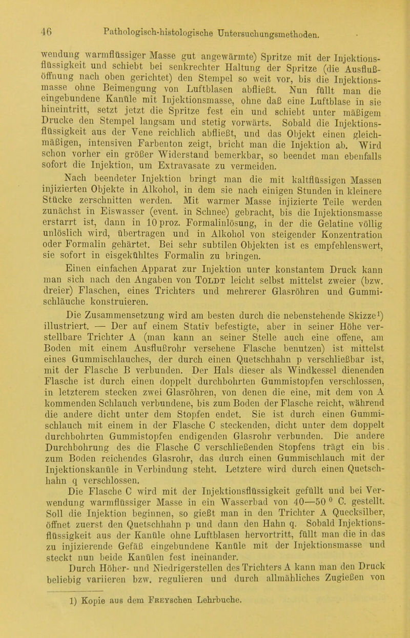 Wendung warmflüssiger Masse gut angewärmte) Spritze mit der Injektions- flüssigkeit und schiebt bei senkrechter Haltung der Spritze (die Ausfluß- öffnung nach oben gerichtet) den Stempel so weit vor, bis die Injektions- masse ohne Beimengung von Luftblasen abfließt. Nun füllt man die eingebundene Kanüle mit Injektionsmasse, ohne daß eine Luftblase in sie hineintritt, setzt jetzt die Spritze fest ein und schiebt unter mäßigem Drucke den Stempel langsam und stetig vorwärts. Sobald die Injektions- flüssigkeit aus der Vene reichlich abfließt, und das Objekt einen gleich- mäßigen, intensiven Farbenton zeigt, bricht man die Injektion ab. Wird schon vorher ein größer Widerstand bemerkbar, so beendet man ebenfalls sofort die Injektion, um Extravasate zu vermeiden. Nach beendeter Injektion bringt man die mit kaltflüssigen Massen injizierten Objekte in Alkohol, in dem sie nach einigen Stunden in kleinere Stücke zerschnitten werden. Mit warmer Masse injizierte Teile werden zunächst in Eiswasser (event. in Schnee) gebracht, bis die Injektionsmasse erstarrt ist, dann in lOproz. Formalinlösung, in der die Gelatine völlig unlöslich wird, übertragen und in Alkohol von steigender Konzentration oder Formalin gehärtet. Bei sehr subtilen Objekten ist es empfehlenswert, sie sofort in eisgekühltes Formalin zu bringen. Einen einfachen Apparat zur Injektion unter konstantem Druck kann man sich nach den Angaben von Toldt leicht selbst mittelst zweier (bzw. dreier) Flaschen, eines Trichters und mehrerer Glasröhren und Gummi- schläuche konstruieren. Die Zusammensetzung wird am besten durch die nebenstehende Skizze1) illustriert. — Der auf einem Stativ befestigte, aber in seiner Höhe ver- stellbare Trichter A (man kann an seiner Stelle auch eine offene, am Boden mit einem Ausflußrohr versehene Flasche benutzen) ist mittelst eines Gummischlauches, der durch einen Quetschhahn p verschließbar ist, mit der Flasche B verbunden. Der Hals dieser als Windkessel dienenden Flasche ist durch einen doppelt durchbohrten Gummistopfen verschlossen, in letzterem stecken zwei Glasröhren, von denen die eine, mit dem von A kommenden Schlauch verbundene, bis zum Boden der Flasche reicht, während die andere dicht unter dem Stopfen endet. Sie ist durch einen Gummi- schlauch mit einem in der Flasche C steckenden, dicht unter dem doppelt durchbohrten Gummistopfen endigenden Glasrohr verbunden. Die andere Durchbohrung des die Flasche C verschließenden Stopfens trägt ein bis zum Boden reichendes Glasrohr, das durch einen Gummischlauch mit der Injektionskanüle in Verbindung steht. Letztere wird durch einen Quetsch- hahn q verschlossen. Die Flasche C wird mit der Injektionsflüssigkeit gefüllt und hei Ver- wendung warmflüssiger Masse in ein Wasserbad von 40—50 0 C. gestellt. Soll die Injektion beginnen, so gießt man in den Trichter A Quecksilber, öffnet zuerst den Quetschhahn p und dann den Hahn q. Sobald Injektions- flüssigkeit aus der Kanüle ohne Luftblasen hervortritt, füllt man die in das zu injizierende Gefäß eingebundene Kanüle mit der Injektionsmasse und steckt nun beide Kanülen fest ineinander. Durch Höher- und Niedrigerstellen des Trichters A kann man den Druck beliebig variieren bzw. regulieren und durch allmähliches Zugießen von 1) Kopie aus dem FREYschen Lehrbuche.