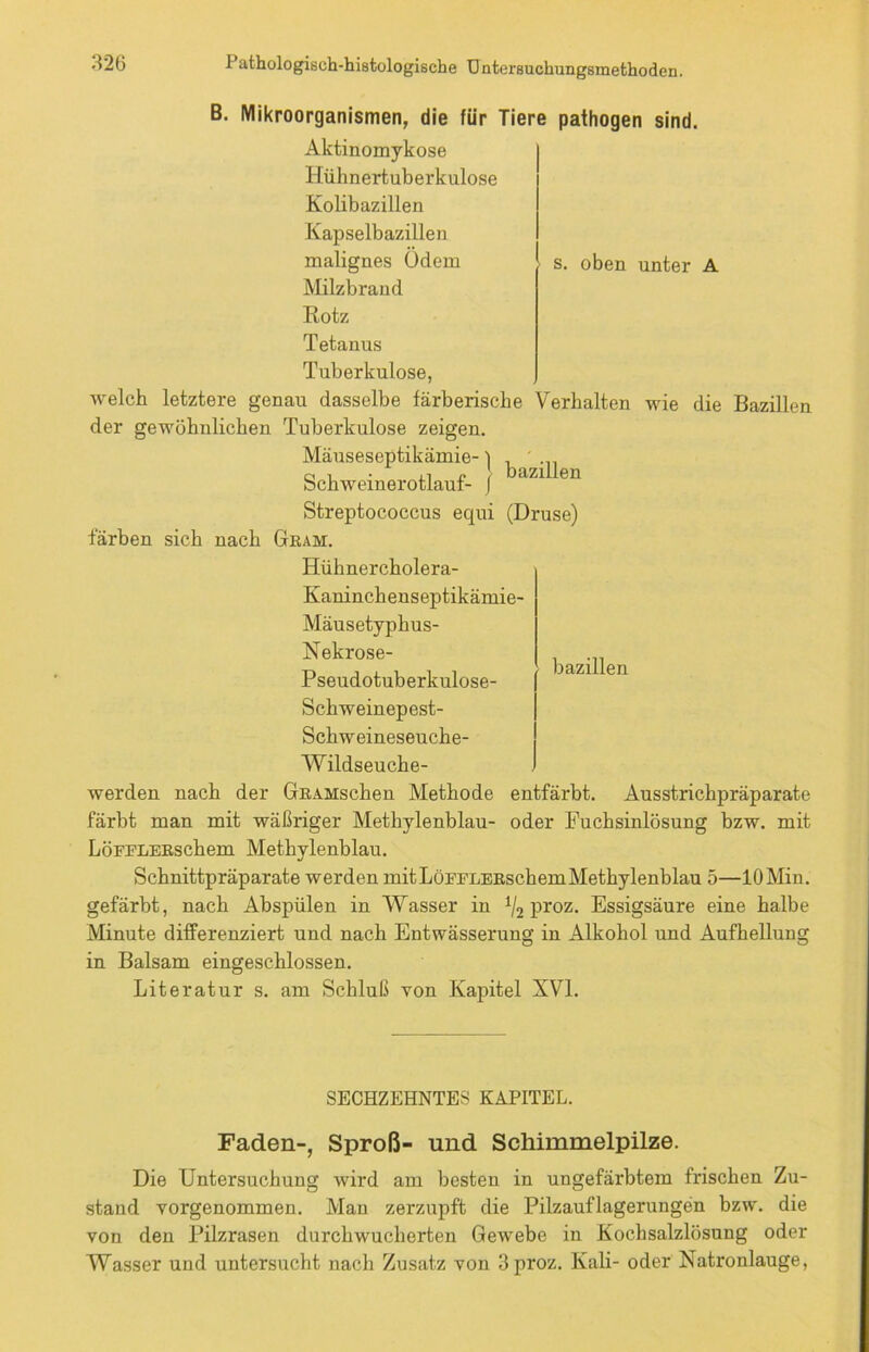 s. oben unter A B. Mikroorganismen, die für Tiere pathogen sind. Aktinomykose Hühnertuberkulose Kolibazillen Kapselbazillen malignes Ödem Milzbrand Rotz Tetanus Tuberkulose, welch letztere genau dasselbe färberische Verhalten wie die Bazillen der gewöhnlichen Tuberkulose zeigen. Mäuseseptikämie-) o T • L-i n ) bazilien bchwemerotlauf- j Streptococcus equi (Druse) färben sich nach Gram. Hühnercholera- Kaninclienseptikämie- Mäusetyphus- Nekrose- Pseudotuberkulose- Schweinepest- Schweineseuche- Wildseuche- werden nach der GRAMschen Methode entfärbt. Ausstrichpräparate färbt man mit wäßriger Methylenblau- oder Fuchsinlösung bzw. mit LöFFLERschem Methylenblau. Schnittpräparate werden mit LöFFLERschemMethylenblau 5—10 Min. gefärbt, nach Abspülen in Wasser in 1I2 proz. Essigsäure eine halbe Minute differenziert und nach Entwässerung in Alkohol und Aufhellung in Balsam eingeschlossen. Literatur s. am Schluß von Kapitel XVI. bazilien SECHZEHNTES KAPITEL. Faden-, Sproß- und Schimmelpilze. Die Untersuchung wird am besten in ungefärbtem frischen Zu- stand yorgenommen. Man zerzupft die Pilzauflagerungen bzw. die von den Pilzrasen durchwucherten Gewebe in Kochsalzlösung oder Wasser und untersucht nach Zusatz von 3proz. Kali- oder Natronlauge,