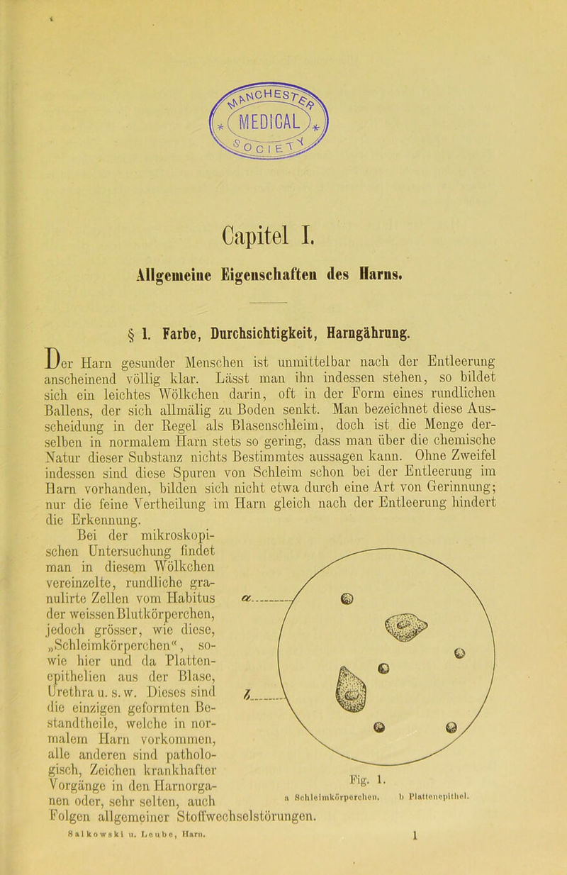 Allgemeine Eigenschaften des Harns. § 1. Farbe, Durchsichtigkeit, Harngährung. Der Harn gesunder Menschen ist unmittelbar nach der Entleerung anscheinend völlig klar. Lässt man ihn indessen stehen, so bildet sich ein leichtes Wölkchen darin, oft in der Form eines rundlichen Ballens, der sich allmälig zu Boden senkt. Man bezeichnet diese Aus- scheidung in der Regel als Blasenschleim, doch ist die Menge der- selben in normalem Harn stets so gering, dass mau über die chemische Natur dieser Substanz nichts Bestimmtes aussagen kann. Ohne Zweifel indessen sind diese Spuren von Schleim schon bei der Entleerung im Harn vorhanden, bilden sich nicht etwa durch eine Art von Gerinnung; nur die feine Vertheilung im Harn gleich nach der Entleerung hindert die Erkennung. Bei der mikroskopi- schen Untersuchung findet man in diesem Wölkchen vereinzelte, rundliche gra- nulirte Zellen vom Habitus der weissen Blutkörperchen, jedoch grösser, wie diese, „Schleimkörperchen“, so- wie hier und da Plattcn- epithelien aus der Blase, Urethra u. s. w. Dieses sind die einzigen geformten ßc- standtheile, welche in nor- malem Harn Vorkommen, alle anderen sind patholo- gisch, Zeichen krankhafter Vorgänge in den Harnorga- nen oder, sehr selten, auch Folgen allgemeiner Stoffwechselstörungen. 8alkow»ki u. Loubc, Harn. Fig. 1. n Schiolmkörperohe». 1> Plattenepithel. 1