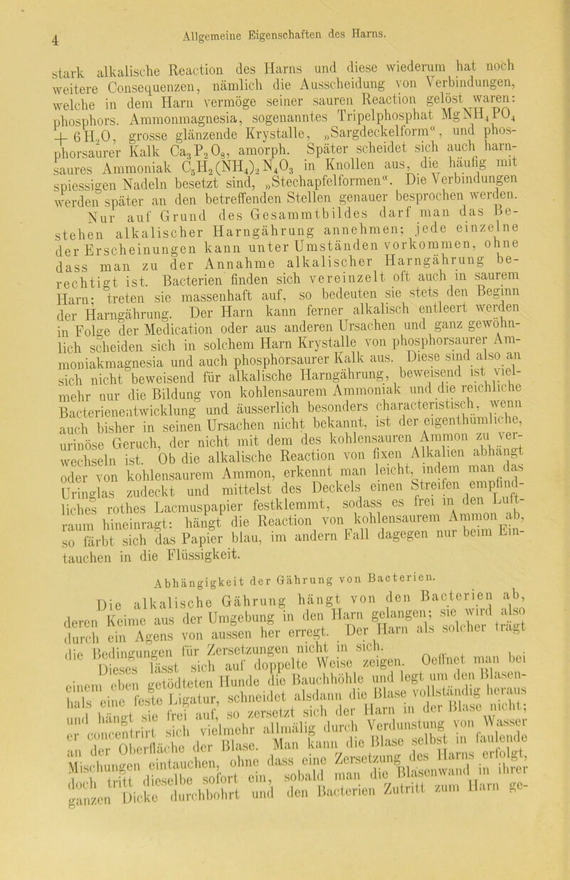 stark alkalische Reaction des Harns und diese wiederum hat noch weitere Consequenzen, nämlich die Ausscheidung von Verbindungen, welche in dem Harn vermöge seiner sauren Reaction gelöst waren: Phosphors. Ammonmagnesia, sogenanntes Tripelphosphat MgNH4P04 i 611,0, grosse glänzende Krystalle, „Sargdeckelform«, und phos- phorsaürer Kalk Ca,P,08, amorph. Später scheidet sich auch harn- saures Ammoniak C5H2 (NH4)2 N403 in Knollen aus die häufig mit spiessigen Nadeln besetzt sind, „Stechapfelformen«. Die Verbindungen werden später an den betreffenden Stellen genauer besprochen werden. Nur auf Grund des Gesammtbildes darf man das Be- stehen alkalischer Harngährung annehmen; jede einzelne der Erscheinungen kann unter Umständen Vorkommen, ohne dass man zu der Annahme alkalischer Harngährung be- rechtigt ist. Bacterien finden sich vereinzelt oft auch in saurem Harn- treten sie massenhaft auf, so bedeuten sie stets den Beginn der Harngährung. Der Harn kann ferner alkalisch entleert werden in Folge der Medication oder aus anderen Ursachen und ganz gewöhn- lich scheiden sich in solchem Harn Krystalle von phosphorsaurer Am- moniakmagnesia und auch phosphorsaurer Kalk aus. Diese sind also an sich nicht beweisend für alkalische Harngährung, beweisend ist viel- mehr nur die Bildung von kohlensaurem Ammoniak und die reichliche Bacterieneatwicklung und äusserlich besonders characteristisch, wenn auch bisher in seinen Ursachen nicht bekannt, ist der eigentümliche, urinöse Geruch, der nicht mit dem des kohlensauren Ammon zu ver- wechseln ist. Ob die alkalische Reaction von fixen Alkalien abhangt oder von kohlensaurem Ammon, erkennt man leicht indem man das Uringlas zudeckt und mittelst des Deckels einen Streifen empfind- liches rothes Lacmuspapier festklemmt, sodass es frei ini denLuft- raum hineinragt: hängt die Reaction von kohlensaurem Ammon a , so färbt sich das Papier blau, im andern Fall dagegen nur beim Ein- tauchen in die Flüssigkeit. Abhängigkeit der Gährung von Bacterien. Die alkalische Gährung hängt von den Bacterien ab deren Keime aus der Umgebung in den Harn durch ein Agens von aussen her erregt Der Harn als solcher tragt die Bedingungen für Zersetzungen nicht m sich. , rrDicchbot,rt und den Bacterien Zutritt - Harn ge-