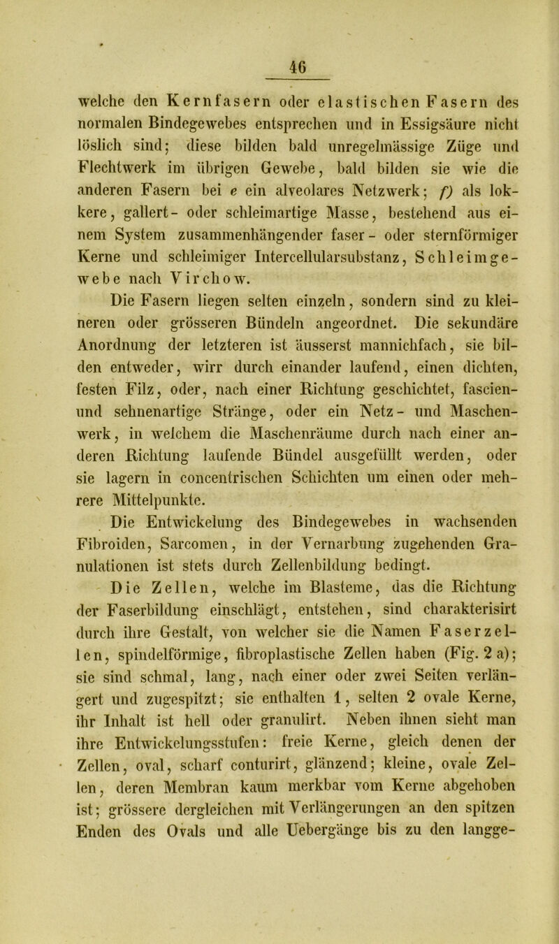 welche den Kern fasern oder elastischen Fasern des normalen Bindegewebes entsprechen und in Essigsäure nicht löslich sind; diese bilden bald unregelmässige Züge und Flechtwerk im übrigen Gewebe, bald bilden sie wie die anderen Fasern bei e ein alveolares Netzwerk; f) als lok- kere, gallert- oder schleimartige Masse, bestehend aus ei- nem System zusammenhängender faser - oder sternförmiger Kerne und schleimiger Intercellularsubstanz, Schleimge- webe nach Virchow. Die Fasern liegen selten einzeln, sondern sind zu klei- neren oder grösseren Bündeln angeordnet. Die sekundäre Anordnung der letzteren ist äusserst mannichfach, sie bil- den entweder, wirr durch einander laufend, einen dichten, festen Filz, oder, nach einer Richtung geschichtet, fascien- und sehnenartige Stränge, oder ein Netz- und Maschen- werk, in welchem die Maschenräume durch nach einer an- deren Richtung laufende Bündel ausgefüllt werden, oder sie lagern in concentrisclien Schichten um einen oder meh- rere Mittelpunkte. Die Entwickelung des Bindegewebes in wachsenden Fibroiden, Sarcomen, in der Vernarbung zugehenden Gra- nulationen ist stets durch Zellenbildung bedingt. Die Zellen, welche im Blasteme, das die Richtung der Faserbildung einschlägt, entstehen, sind charakterisirt durch ihre Gestalt, von welcher sie die Namen F a s e r z e 1- len, spindelförmige, fibroplastische Zellen haben (Fig. 2 a); sie sind schmal, lang, nach einer oder zwei Seiten verlän- gert und zugespitzt; sie enthalten 1, selten 2 ovale Kerne, ihr Inhalt ist hell oder granulirt. Neben ihnen sieht man ihre Entwickelungsstufen: freie Kerne, gleich denen der Zellen, oval, scharf conturirt, glänzend; kleine, ovale Zel- len, deren Membran kaum merkbar vom Kerne abgehoben ist; grössere dergleichen mit Verlängerungen an den spitzen Enden des Ovals und alle Uebergänge bis zu den langge-