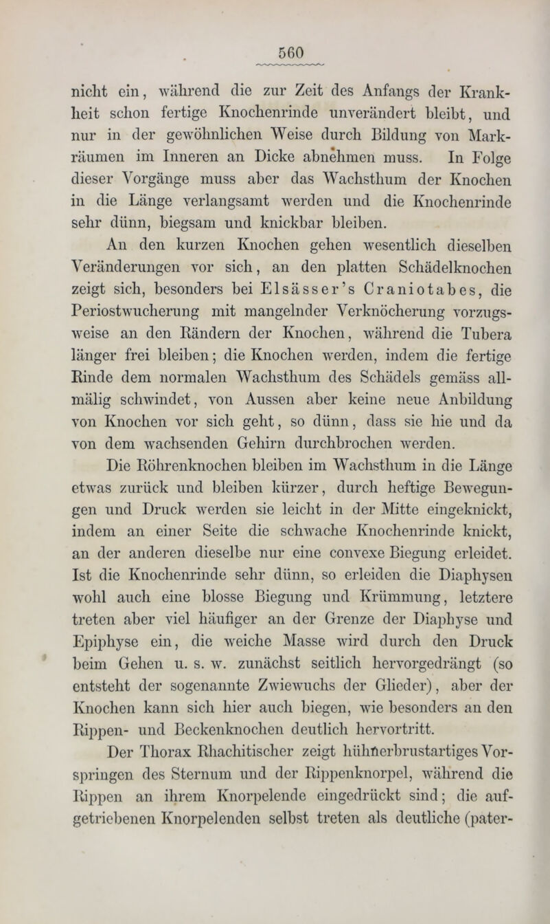 nicht ein, während die zur Zeit des Anfangs der Krank- heit schon fertige Knochenrinde unverändert bleibt, und nur in der gewöhnlichen Weise durch Bildung von Mark- räumen im Inneren an Dicke abnehmen muss. In Folge dieser Vorgänge muss aber das Wachsthum der Knochen in die Länge verlangsamt werden und die Knochenrinde sehr dünn, biegsam und knickbar bleiben. An den kurzen Knochen gehen wesentlich dieselben Veränderungen vor sich, an den platten Schädelknochen zeigt sich, besonders bei Elsässer’s Craniotabes, die Periostwucherung mit mangelnder Verknöcherung vorzugs- weise an den Bändern der Knochen, während die Tubera länger frei bleiben; die Knochen werden, indem die fertige Binde dem normalen Wachsthum des Schädels gemäss all- mälig schwindet, von Aussen aber keine neue Anbildung von Knochen vor sich geht, so dünn, dass sie hie und da von dem wachsenden Gehirn durchbrochen werden. Die Böhrenknochen bleiben im Wachsthum in die Länge etwas zurück und bleiben kürzer, durch heftige Bewegun- gen und Druck werden sie leicht in der Mitte eingeknickt, indem an einer Seite die schwache Knochenrinde knickt, an der anderen dieselbe nur eine convexe Biegung erleidet. Ist die Knochenrinde sehr dünn, so erleiden die Diaphysen wohl auch eine blosse Biegung und Krümmung, letztere treten aber viel häufiger an der Grenze der Diaphyse und Epiphyse ein, die weiche Masse wird durch den Druck beim Gehen u. s. w. zunächst seitlich hervorgedrängt (so entsteht der sogenannte Zwiewuchs der Glieder), aber der Knochen kann sich hier auch biegen, wie besonders an den Bippen- und Beckenknochen deutlich hervortritt. Der Thorax Bhachitischer zeigt hühnerbrustartiges Vor- springen des Sternum und der Bippenknorpel, während die Bippen an ihrem Knorpelende eingedrückt sind; die auf- getriebenen Knorpelenden selbst treten als deutliche (pater-