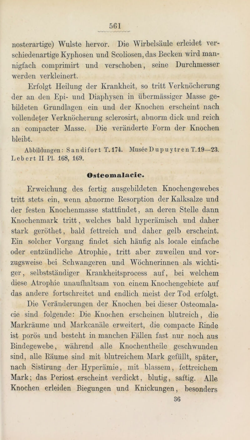 nosterartige) Wulste hervor. Die Wirbelsäule erleidet ver- schiedenartige Kyphosen und Scoliosen, das Becken wird man- nigfach comprimirt und verschoben, seine Durchmesser werden verkleinert. Erfolgt Heilung der Krankheit, so tritt Verknöcherung der an den Epi- und Diaphysen in übermässiger Masse ge- bildeten Grundlagen ein und der Knochen erscheint nach vollendeter Verknöcherung sclerosirt, abnorm dick und reich an compacter Masse. Die veränderte Form der Knochen bleibt. Abbildungen: S an difor t T. 174. Musee D u p u y tre n T. 19—23. Lebert II PI. 168, 169. Osteomalacie. Erweichung des fertig ausgebildeten Knochengewebes tritt stets ein, wenn abnorme Resorption der Kalksalze und der festen Knochenmasse stattfindet, an deren Stelle dann Knochenmark tritt, welches bald hyperämisch und daher stark geröthet, bald fettreich und daher gelb erscheint. Ein solcher Vorgang findet sich häufig als locale einfache oder entzündliche Atrophie, tritt aber zuweilen und vor- zugsweise bei Schwangeren und Wöchnerinnen als wichti- ger, selbstständiger Krankheitsprocess auf, bei welchem diese Atrophie unaufhaltsam von einem Knochengebiete auf das andere fortschreitet und endlich meist der Tod erfolgt. Die Veränderungen der Knochen bei dieser Osteomala- cie sind folgende: Die Knochen erscheinen blutreich, die Marki’äume und Markcanäle erweitert, die compacte Rinde ist porös und besteht in manchen Fällen fast nur noch aus Bindegewebe, während alle Knochentheile geschwunden sind, alle Räume sind mit blutreichem Mark gefüllt, später, nach Sistirung der Hyperämie, mit blassem, fettreichem Mark; das Periost erscheint verdickt, blutig, saftig. Alle Knochen erleiden Biegungen und Knickungen, besonders 36