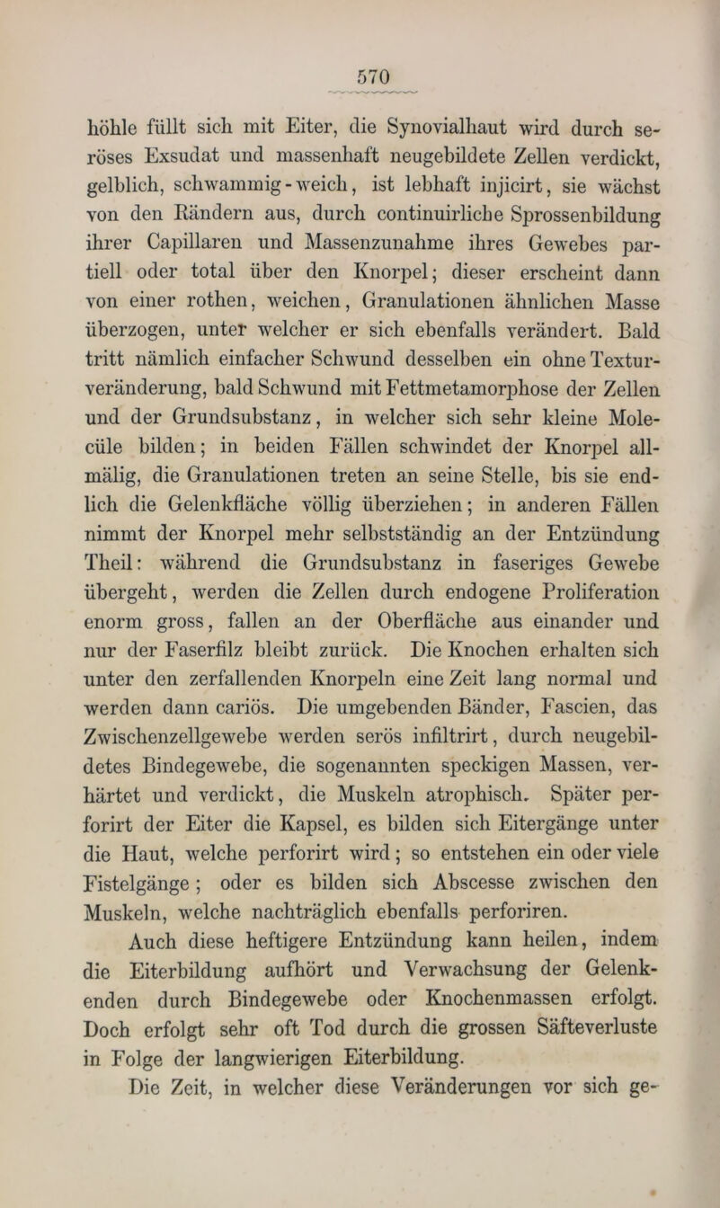 höhle füllt sich mit Eiter, die Synovialhaut wird durch se- röses Exsudat und massenhaft neugebildete Zellen verdickt, gelblich, schwammig - weich, ist lebhaft injicirt, sie wächst von den Rändern aus, durch continuirliche Sprossenbildung ihrer Capillaren und Massenzunahme ihres Gewebes par- tiell oder total über den Knorpel; dieser erscheint dann von einer rothen, weichen, Granulationen ähnlichen Masse überzogen, unter welcher er sich ebenfalls verändert. Bald tritt nämlich einfacher Schwund desselben ein ohne Textur- veränderung, bald Schwund mitEettmetamorphose der Zellen und der Grundsubstanz, in welcher sich sehr kleine Mole- cüle bilden; in beiden Fällen schwindet der Knorpel all- mälig, die Granulationen treten an seine Stelle, bis sie end- lich die Gelenkfläche völlig überziehen; in anderen Fällen nimmt der Knorpel mehr selbstständig an der Entzündung Theil: während die Grundsubstanz in faseriges Gewebe übergeht, werden die Zellen durch endogene Proliferation enorm gross, fallen an der Oberfläche aus einander und nur der Faserfilz bleibt zurück. Die Knochen erhalten sich unter den zerfallenden Knorpeln eine Zeit lang normal und werden dann cariös. Die umgebenden Bänder, Fascien, das Zwischenzellgewebe werden serös infiltrirt, durch neugebil- detes Bindegewebe, die sogenannten speckigen Massen, ver- härtet und verdickt, die Muskeln atrophisch. Später per- forirt der Eiter die Kapsel, es bilden sich Eitergänge unter die Haut, welche perforirt wird; so entstehen ein oder viele Fistelgänge; oder es bilden sich Abscesse zwischen den Muskeln, welche nachträglich ebenfalls perforiren. Auch diese heftigere Entzündung kann heilen, indem die Eiterbildung aufhört und Verwachsung der Gelenk- enden durch Bindegewebe oder Knochenmassen erfolgt. Doch erfolgt sehr oft Tod durch die grossen Säfteverluste in Folge der langwierigen Eiterbildung. Die Zeit, in welcher diese Veränderungen vor sich ge-