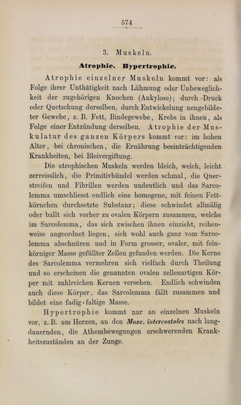 3. Muskeln. Atropliie. Hypertrophie. Atrophie einzelner Muskeln kommt vor: als Folge ihrer Unthätigkeit nach Lähmung oder Unbeweglich- keit der zugehörigen Knochen (Ankylose); durch «Druck oder Quetschung derselben, durch Entwickelung neugebilde- ter Gewebe, z. B. Fett, Bindegewebe, Krebs in ihnen, als Folge einer Entzündung derselben. Atrophie der Mus- kulatur des ganzen Körpers kommt vor: im hohen Alter, bei chronischen, die Ernährung beeinträchtigenden Krankheiten, hei Bleivergiftung. Die atrophischen Muskeln werden bleich, weich, leicht zerreisslich, die Primitivbündel werden schmal, die Quer- streifen und Fibrillen werden undeutlich und das Sarco- lemma umschliesst endlich eine homogene, mit feinen Fett- körnchen durchsetzte Substanz; diese schwindet allmälig oder ballt sich vorher zu ovalen Körpern zusammen, welche im Sarcolemma, das sich zwischen ihnen einzieht, reihen- weise angeordnet liegen, sich wohl auch ganz vom Sarco- lemma abschnüren und in Form grosser, ovaler, mit fein- körniger Masse gefüllter Zellen gefunden werden. Die Kerne des Sarcolemma vermehren sich vielfach durch Theilung und so erscheinen die genannten ovalen zellenartigen Kör- per mit zahlreichen Kernen versehen. Endlich schwinden auch diese Körper, das Sarcolemma fällt zusammen und bildet eine fadig - faltige Masse. Hypertrophie kommt nur an einzelnen Muskeln vor, z. B. am Herzen, an den Muse, intercosiales nach lang- dauernden, die Athembewegungen erschwerenden Krank- heitszuständen an der Zunge. )