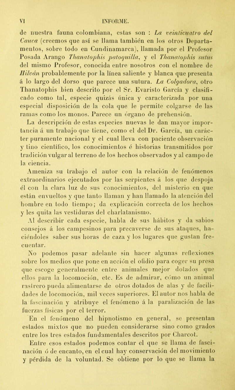 de nuestra fauna colombiana, estas son : La veinticuatro del Cauca (creemos que así se llama también en los otros Departa- mentos, sobre todo en Cundinamarca), llamada por el Profesor Posada Arango Thanatophis patoquilla, y el Thanatophis sutus del mismo Profesor, conocida entre nosotros con el nombre de Hilván probablemente por la línea saliente y blanca que presenta á lo largo del dorso que parece una sutura. La Colgadora, otro Thanatopbis bien descrito por el Sr. Evaristo García y clasifi- cado como tal, especie quizás única y caracterizada por una especial disposición de la Cola que le permite colgarse de las ramas como los monos. Parece un órgano de prehensión. La descripción de estas especies nuevas le dan mayor impor- tancia á un trabajo que tiene, como el del Dr. García, un carác- ter puramente nacional y el cual lleva con paciente observación y tino científico, los conocimientos é historias transmitidos por tradición vulgar al terreno de los hechos observados y al campo de la ciencia. Ameniza su trabajo el autor con la relación de fenómenos extraordinarios ejecutados por las serpientes á los que despoja él con la clara luz de sus conocimientos, del misterio en que están envueltos y que tanto llaman y han llamado la atención del hombreen todo tiempo; da explicación correcta délos hechos y les quita las vestiduras del charlatanismo. Al describir cada especie, habla de sus hábitos y da sabios consejos á los campesinos para precaverse de sus ataques, ha- ciéndoles saber sus horas de caza y los lugares que gustan fre- cuentar. No podemos pasar adelante sin hacer algunas reflexiones sobre los medios que pone en acción el ofidio para coger su presa que escoge generalmente entre animales mejor dotados que ellos para la locomoción, etc. Es de admirar, cómo un animal rastrero pueda alimentarse de otros dotados de alas y de facili- dades de locomoción, mil veces superiores. El autor nos habla de la fascinación y atribuye el fenómeno á la paralización de las fuerzas físicas por el terror. En el fenómeno del hipnotismo en general, se presentan estados mixtos que no pueden considerarse sino como grados entre los tres estados fundamentales descritos por Charcot. Entre esos estados podemos contar el que se llama de fasci- nación ó de encanto, en el cual hay conservación del movimiento y pérdida de la voluntad. Se obtiene por lo que se llama la