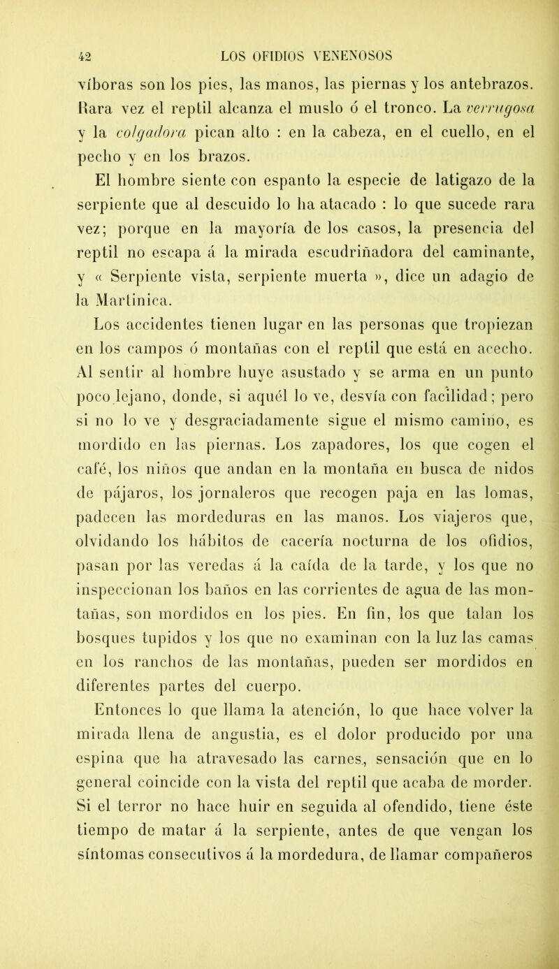 víboras son los pies, las manos, las piernas y los antebrazos. Rara vez el reptil alcanza el muslo ó el tronco. La verrugosa y la colgadora pican alto : en la cabeza, en el cuello, en el pecho y en los brazos. El hombre siente con espanto la especie de latigazo de la serpiente que al descuido lo lia atacado : lo que sucede rara vez; porque en la mayoría de los casos, la presencia del reptil no escapa á la mirada escudriñadora del caminante, y « Serpiente vista, serpiente muerta », dice un adagio de la Martinica. Los accidentes tienen lugar en las personas que tropiezan en los campos ó montañas con el reptil que está en acecho. Al sentir al hombre huye asustado y se arma en un punto poco lejano, donde, si aquél lo ve, desvía con facilidad; pero si no lo ve y desgraciadamente sigue el mismo camino, es mordido en las piernas. Los zapadores, los que cogen el café, los niños que andan en la montaña en busca de nidos de pájaros, los jornaleros que recogen paja en las lomas, padecen las mordeduras en las manos. Los viajeros que, olvidando los hábitos de cacería nocturna de los ofidios, pasan por las veredas á la caída de la tarde, y los que no inspeccionan los baños en las corrientes de agua de las mon- tañas, son mordidos en los pies. En fin, los que talan los bosques tupidos y los que no examinan con la luz las camas en los ranchos de las montañas, pueden ser mordidos en diferentes partes del cuerpo. Entonces lo que llama la atención, lo que hace volver la mirada llena de angustia, es el dolor producido por una espina que lia atravesado las carnes., sensación que en lo general coincide con la vista del reptil que acaba de morder. Si el terror no hace huir en seguida al ofendido, tiene éste tiempo de matar á la serpiente, antes de que vengan los síntomas consecutivos á la mordedura, de llamar compañeros