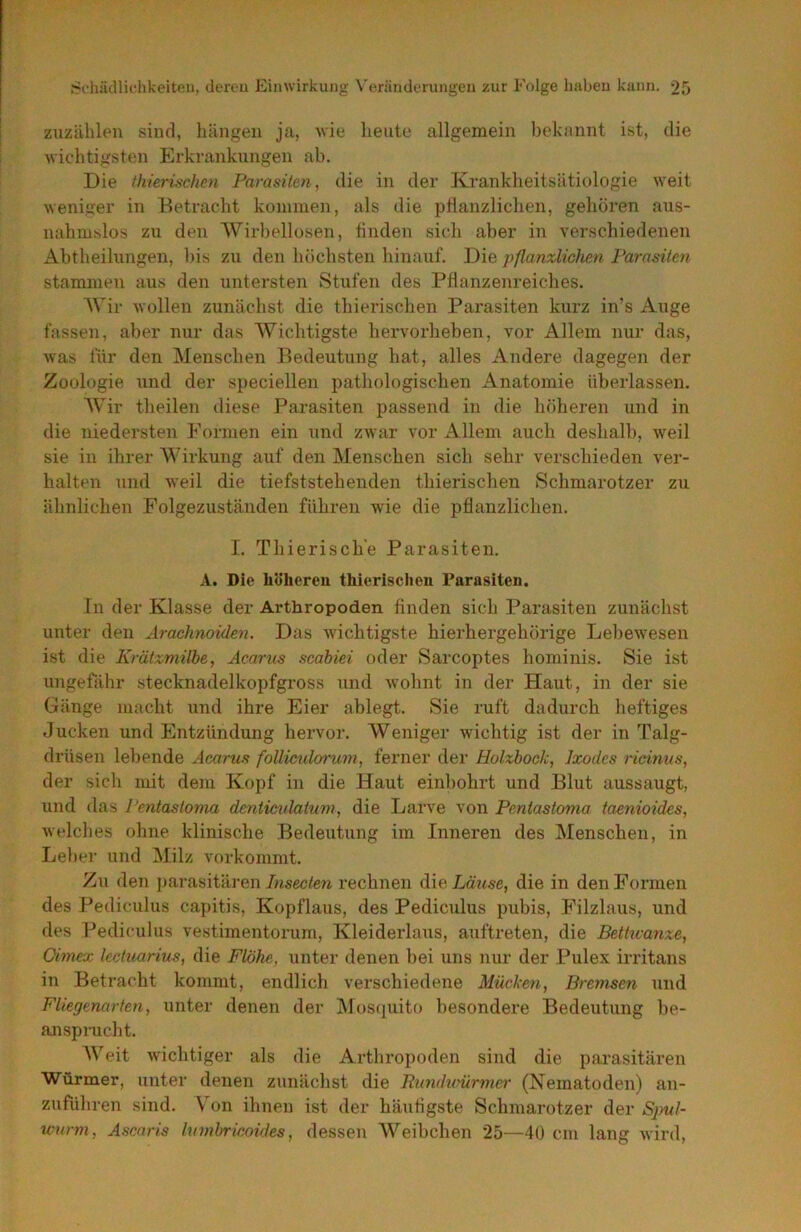 zuzälilen siufl, hängen ja, wie heute allgemein bekannt ist, die wichtigstim Erkrankungen ab. Die thierischen Parasiten, die in der Krankheitsätiologie weit weniger in Eetracht kommen, als die pflanzlichen, gehören aus- nahmslos zu den Wirbellosen, finden sicdi aber in verschiedenen Abtheilungen, bis zu den höchsten hinauf. Die pflanzlichen Parasiten stammen aus den untei'sten Stufen des Pflanzenreiches. AVir wollen zunächst die thierischen Parasiten kurz in’s Auge fassen, aber nur das AVichtigste hervorheben, vor Allem nur das, was für den Menschen Bedeutung hat, alles Andere dagegen der Zoologie und der speciellen pathologischen Anatomie überlassen. AVir theilen diese Parasiten passend in die höheren und in die niedersten Formen ein und zwar vor Allem auch deshalb, weil sie in ihrer Wirkung auf den Menschen sich sehr verschieden ver- halten und weil die tiefststehenden thierischen Schmarotzer zu ähnlichen Folgezuständen führen wie die pflanzlichen. I. Thierisch’e Parasiten. A. Die Iiöheren thierischen Parasiten. In der Klasse der Arthropoden finden sich Parasiten zunächst unter den Ärachnoiden. Das w'ichtigste hierhergehörige Lebewesen ist die Krätzmilbe, Äcarus scabiei oder Sarcoptes hominis. Sie ist ungefähr stecknadelkopfgross und w'ohnt in der Haut, in der sie Gänge macht und ihre Eier ablegt. Sie ruft dadurch heftiges Jucken und Entzündung hervor. AVeniger wichtig ist der in Talg- drüsen lebende Acay-us follicularum, ferner der Holzbock, Ixodes ricinus, der sicli mit deiu Kopf in die Haut einbohrt und Blut aussaugt, und das Pentastoma dcnticulatum, die Larve von Pentastoma faenioides, AVflches ohne klinische Bedeutung im Inneren des Alenschen, in Lebei’ und Alilz vorkommt. Zu den parasitäi’en Jnsecten rechnen die Lätise, die in den Formen des Pediculus capitis, Kopflaus, des Pediculus pubis, Filzlaus, und des Pediculus vestimentorum, Kleiderlaiis, auftreten, die Bettwanze, Gimex Iccluarius, die Flöhe, unter denen bei uns nur der Pulex irritans in Betracht kommt, endlich verschiedene Mücken, Bremsen und Fliegenarten, unter denen der Alosciuito besondere Bedeutung be- ansprucht. AVeit wichtiger als die Arthropoden sind die parasitären Würmer, unter denen zunächst die Itundunirmer (Nematoden) an- zuführen sind. V^on ihnen ist der häutigste Schmarotzer der Spul- wurm, Ascaris lumhrieoides, dessen AA^eibchen 25—40 cm lang wird.